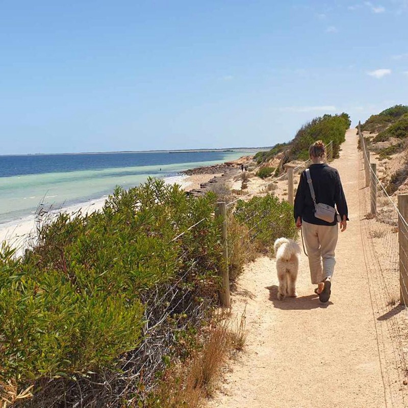For the dog mum who does it all — beach, bush, coffee, Blue Mountains and everywhere in between. 🐾
This Mother's Day give her something she'll reach for every single day.
Our waterproof 2-in-1 Treat and Walkies Bag Sets were built for real dog mums who actually go places. Fully waterproof. Discreet poop bag dispenser in the side logo with internal roll pocket. Separate treat bag that clips anywhere — the strap, the bag, the leash. Internal pockets for phone, wallet and keys. Shoulder, crossbody or add the optional matching waist strap and go completely hands-free.
And when she's not walking the dog? She'll still be wearing it. To the café. To the farmers market. To the Hydro Majestic. Our customers tell us they've stopped reaching for their regular handbag entirely. 💛
Latte — warm, elegant, pairs beautifully with our Fleur Jacquard Harness Range. Gold hardware. $59.99
Liquorice — sleek, versatile black that goes with absolutely everything. Black hardware. $59.99
Optional matching jacquard waist strap available separately for both.
Can't decide? An eGift Card for any amount — no expiry, emailed on the date you choose — means she picks exactly what she loves. 🎁
We ship worldwide and wrap every order beautifully. Add a personalised gift postcard at checkout. 💛
📍 www.hendricksandmaple.com
#hendricksandmaple #giveyourbowsomewow #mothersdaygift #dogmum #cavoodle