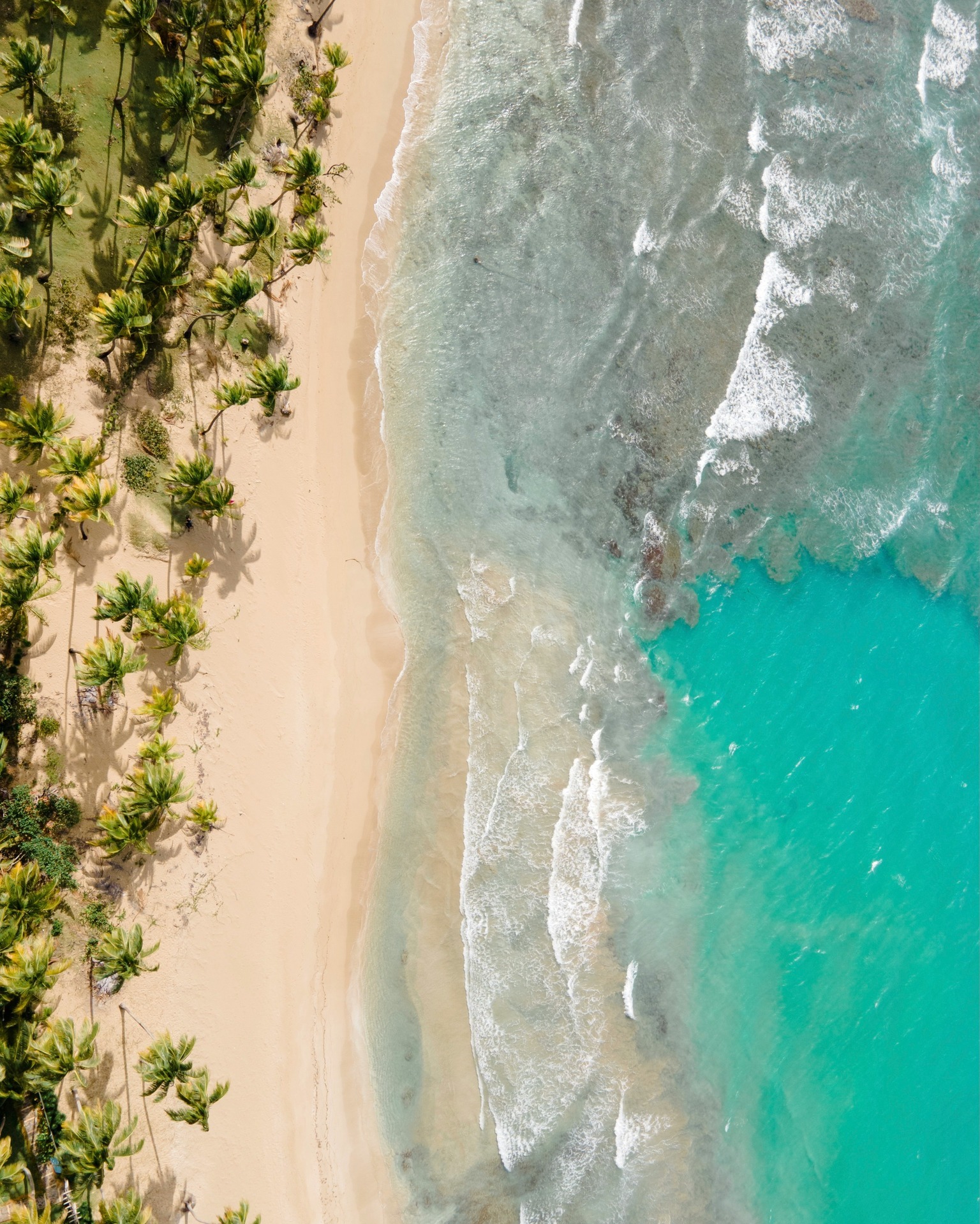 From hidden gardens to historic rums, Barbados offers far more than just beautiful beaches. If you're planning your 2026 escape, here are 5 experiences you cannot miss.
1. Discover Hunte’s Gardens
Step into a lush, emerald world. This botanical masterpiece is set in a collapsed limestone sinkhole, creating a quiet, atmospheric sanctuary that feels miles away from the coast.
2. Surf (or Sightsee) at Bathsheba
The rugged East Coast is a different world. Watch the massive Atlantic swells at the "Soup Bowl" or explore the giant rock formations. It’s the island’s most dramatic natural stage.
3. Sunset Catamaran Sail
There is no better way to see the Platinum Coast than from the water. Book a private charter to swim with sea turtles and enjoy a glass of champagne as the sun dips below the Caribbean horizon.
4. St. Nicholas Abbey
Step back into the 1600s at one of the island's most beautiful Jacobean mansions. Explore the gardens and sample their award-winning boutique rum, distilled right on the estate.
5. Harrison’s Cave
Board a tram and descend into a massive underground system of crystallized limestone. With active streams and deep emerald pools, it’s a masterclass in island geology.
#LuxuryDreamHolidays #Barbados2026 #VisitBarbados #TravelList #LuxuryTravel #CaribbeanAdventure #HuntesGardens #IslandLife