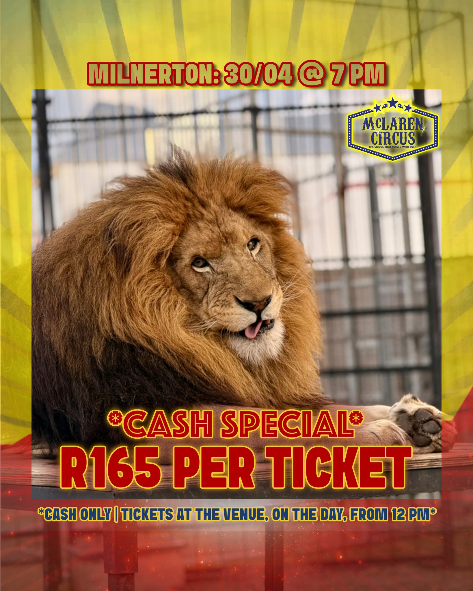🤹♂️PRE-WORKERS DAY CASH SPECIAL: Any seat, only R165 each! 🎟️✨
🎪 Step right up to the greatest show in #Africa!
Only valid:
📅 Thu, 30 Apr 2026 @ 7 PM - #MILNERTON
🎟️ Hurry, these seats are unreserved and sell fast!
Tickets are CASH ONLY and are only available, at our ticket office, from 12 PM on the show day.