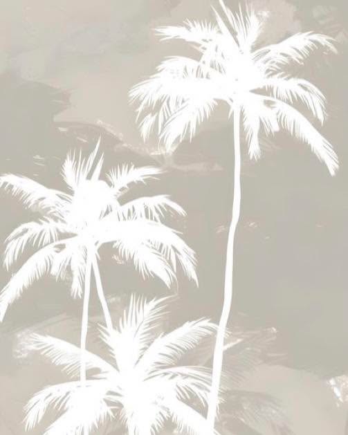 🌴BIKINISboutique🌴
🌼🌼DIMANCHE sur le port 🌼🌼
✖️Ouvert✖️7/7
Tous les jours
Du lundi au Dimanche 🌻
➿10h-12h30/ 14h30-19h***
➰➰➰➰➰➰➰
VENTE A DISTANCE ! 7/7
🛍️🛍️🛍️🛍️
🖥️ Retrouvez tout sur notre site internet :
Il reste ouvert 7/7
✨✨
https://www.bikinisboutique.fr/
✨✨✨✨
🛍️🛍️🛍️🛍️
✨✨✨✨✨
📞 0467013133
⛳️ le cap d’Agde .
🚚 📦 Expédition 🌍
🚚 🚚 n’oubliez pas le service VAD
Posez nous vos questions !
Paiement à distance 💳
Paiement x3 & PayPal 💰
Rdv FaceTime possible. 🌵
➰➰➰➰➰➰➰
#fahionboutique#portducapdagde
Languedocroussillon#mode#conceptstore.#placedelarbre✨