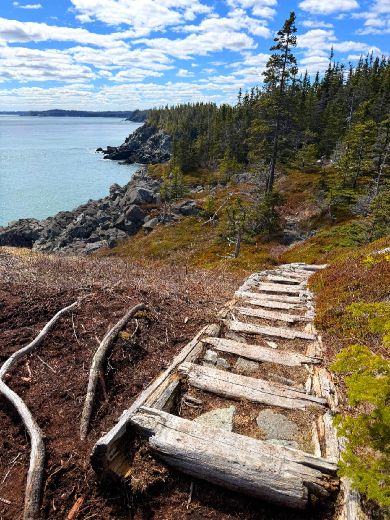 Hung around the Bold Coast area today. Hit preserves and places I had yet to visit. Let me tell you, it was the perfect day to hike 12.71 miles 😍 I’ll circle back to this- once I make it through enjoying every minute of this amazing weather we are getting this weekend 😍☀️ 🐶Thanks for joining us today Treena Brunelle 🤎 #downeastmaine #Maine #lubec