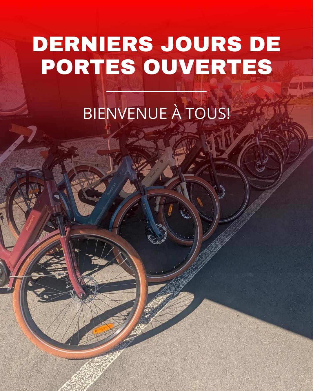 🇫🇷Demain est le tout dernier jour de nos journées portes ouvertes ! Nous avons encore plein de belles choses en réserve. Nous organisons notamment une balade à vélo pour les amateurs, les inscriptions sont encore possibles via ce lien : https://www.vandammecycling.com/portes-ouvertes-2026
Ensuite, vous pourrez suivre Liège-Bastogne-Liège en direct sur grand écran !
N’hésitez pas à passer et à profiter de cette belle clôture 🚴🏼♂️⚡️
Tout le monde est le bienvenu !
🇳🇱Morgen is de allerlaatste dag van onze opendeurdagen! We hebben nog heel wat leuks in petto. Zo organiseren we een fietstocht voor de liefhebbers inschrijven kan nog via deze link: https://www.vandammecycling.com/portes-ouvertes-2026
Daarna kan je Luik-Bastenaken-Luik live volgen op groot scherm!
Kom zeker langs en geniet van deze afsluiter 🚴🏼♂️⚡️
Iedereen is van harte welkom!