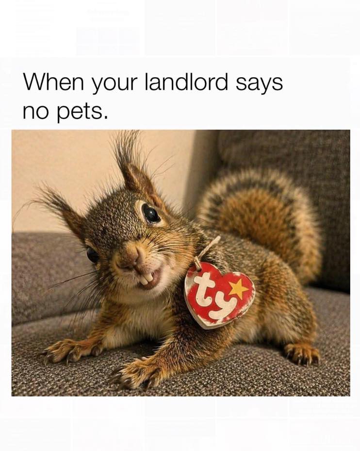 jilliannoellerealtor