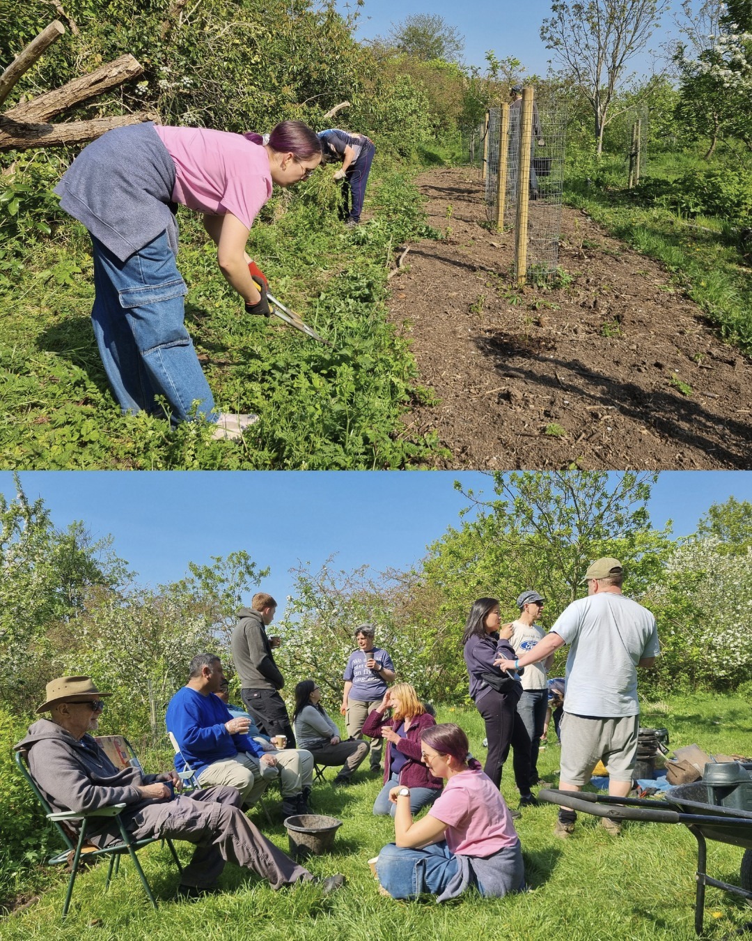 A morning of watering, keeping paths open and weeding to #StartTheWeek at #KingdomForestGarden in #Stirchley this week. We had plenty of lovely #volunteers helping us!