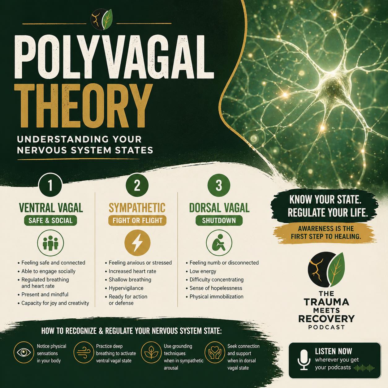 You’re not overthinking. Your nervous system is activated.
Anxiety. Shutdown. Feeling stuck.
It’s not random—it’s your body trying to protect you.
In this episode with Deb Dana, we break down Polyvagal Theory so you can finally understand why you feel the way you do—and how to shift it.
🎧 Watch now & start working with your nervous system.
#PolyvagalTheory #DebDana #NervousSystemRegulation #TraumaHealing #SomaticHealing #MindBodyConnection #MentalHealthAwareness #HealingJourney #TraumaRecovery #AnxietyRelief #FightFlightFreeze #SelfRegulation #EmotionalWellness #TherapyTools #PodcastClip #MentalHealthPodcast #HealingTrauma #NervousSystemHealing #Overthinking #FreezeResponse #WellnessPodcast #PsychologyExplained #InnerWork #SelfHealing #traumainformed