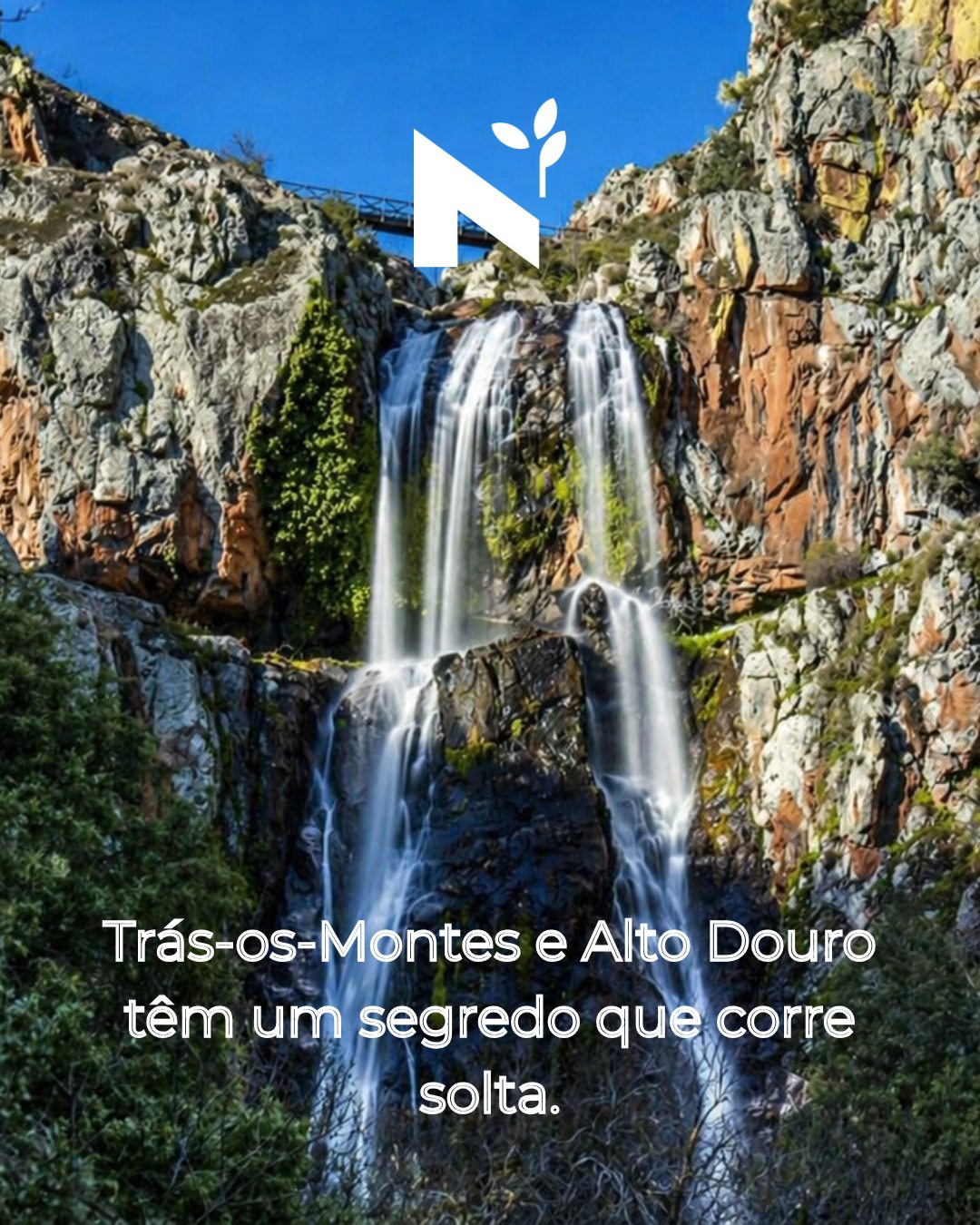Não sabias que existia isto em Portugal, pois não?
A Cascata da Faia da Água Alta, no coração do Douro Internacional em Mogadouro, despenca mais de 35 metros direto para as margens do Douro. Classificada como geossítio de interesse nacional. E quase ninguém a conhece.💦
Esta é a primavera certa para ir. O caudal está no máximo, o verde está no máximo, o silêncio também.
E depois ainda tens os Lagos do Sabor, o Vale do Tua, os rios de Montesinho...
Este território tem água a mais para um fim de semana. Tens tempo a menos para continuar a adiar.
🔗 Guia completo no blog — link na bio
#TrásosMontes #AltoDouro #NorteDePortugal #CascatasPortugal #DourolnternacionalPark #PrimaveraEmPortugal #AzeiteaNorte #PortugalOculto #NaturezaPortugal #LagosDoSabor #Mogadouro #TurismodeNatureza #ValedoTua #SlowTravelPortugal #VisitPortugal #Oleoturismo #OliveOilTourism #AuthenticPortugal #SpringInPortugal #turismoanorte #turismorural #olivoturismo #gastronomy #slowtourism #portoandnorth #visitportugal #visitportoandnorth #olivaisdodouro #viagenscomsabor #descubraportugal