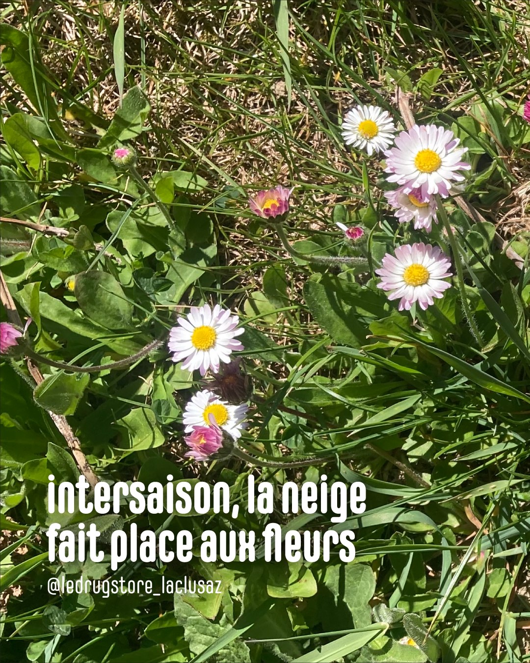 Horaires de mai-juin.
Nous sommes ouverts les week-end, ponts et jours fériés (sauf le 1er mai !).
9h30 - 12h30 et 14h30 - 19h
A bientôt 🤗