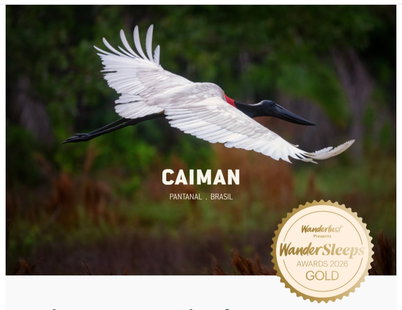 Congratulations to Caiman for being Recognized with the 2026 Wanderlust Award!
Caiman is thrilled to announce that it has been named one of the winners of the 2026 Wandersleeps Award by Wanderlust Magazine, one of the United Kingdom’s most respected travel publications. Each year, Wanderlust Magazine recognizes exceptional hotels and travel experiences around the world that stand out for their authenticity, meaningful connection to place and commitment to responsible tourism.
For details info@dominiquedebay.com or by phone 1-212-752-1416 or WhatsApp 1-917-940-2407 #dominiquedebaycollection #luxurytravel @caimanpantanal #Brazil #casacaiman