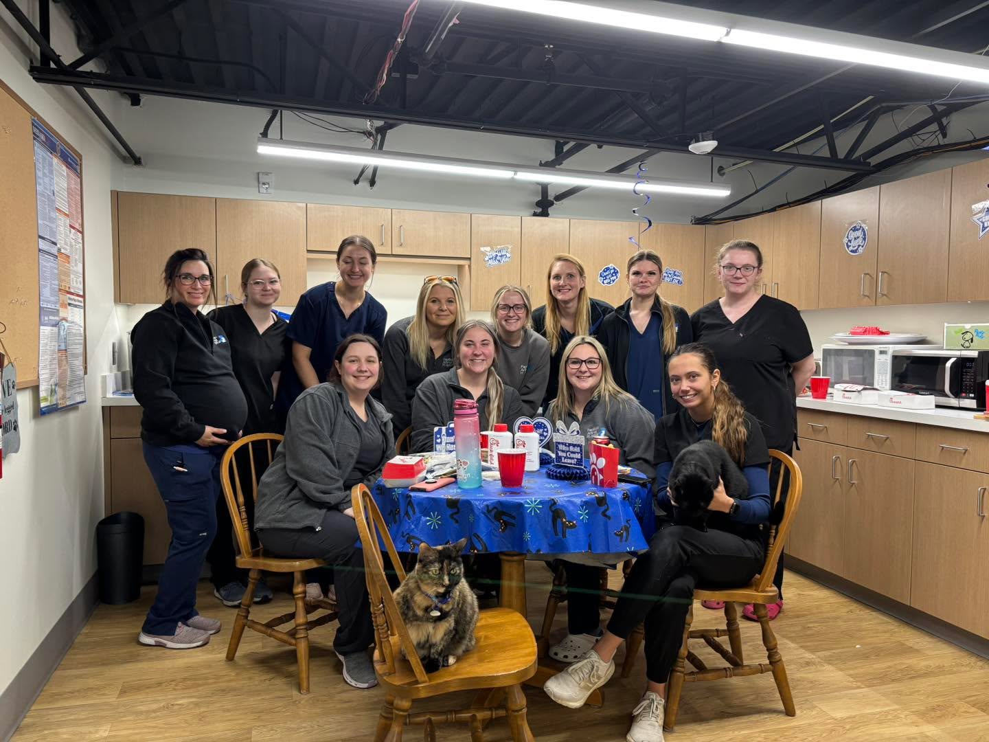 It’s a sad day at PAH. We’re saying goodbye to one of our Assistants, Zoie.
Although, we’ll miss her dearly, we are so happy and proud of her as she’s moved on to this next chapter in her career.
Zoie will be moving to North Platte, as she was accepted into nursing school, where she hoes to eventually be a traveling nurse.
Please help us wish her well and congratulate her. 🩵🐾