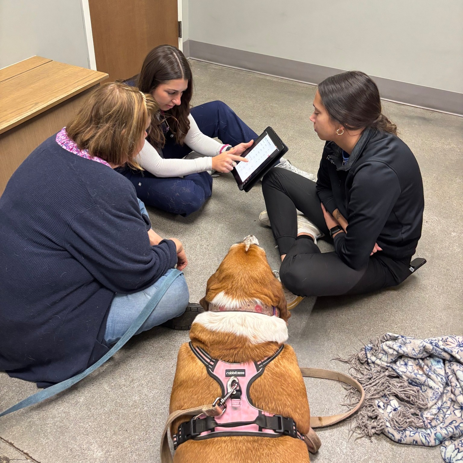We know that coming to the vet can be stressful for both pets and their parents. If your dog feels safest sitting on the floor with you, that’s exactly where you’ll find us.
Here Dr. Johnson and Assistant Lexie are going over lab work, taking all the time needed to make sure our client feels informed and comfortable.
To us, pet care isn't just about medicine; it's about comfort, connection, and treating your family like our family.