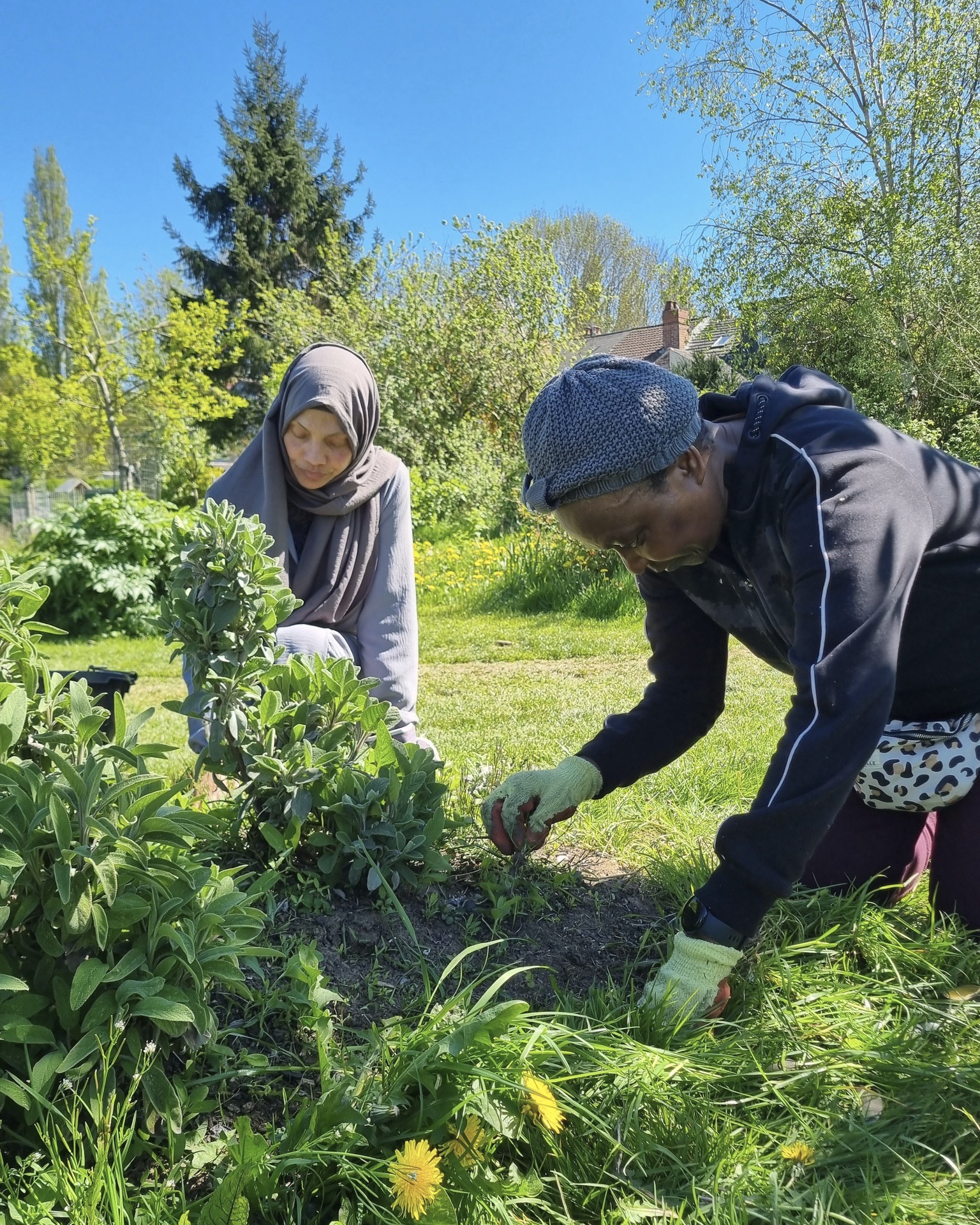 Bring your sun cream! #ForestGarden care at #PebbleMillPlayingFields. We've watered, weeded and edged, but there will be more to do this coming Friday!