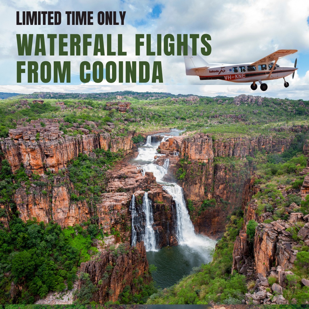 Exciting news! For a limited time, we’re offering waterfall scenic flights from Cooinda.
Our one-hour scenic flights take you over some of Kakadu’s most spectacular waterfalls, putting on a show after the wet season.
From $289 per person.
Call us or email reservations@kakaduair.com.au
to book your seat.