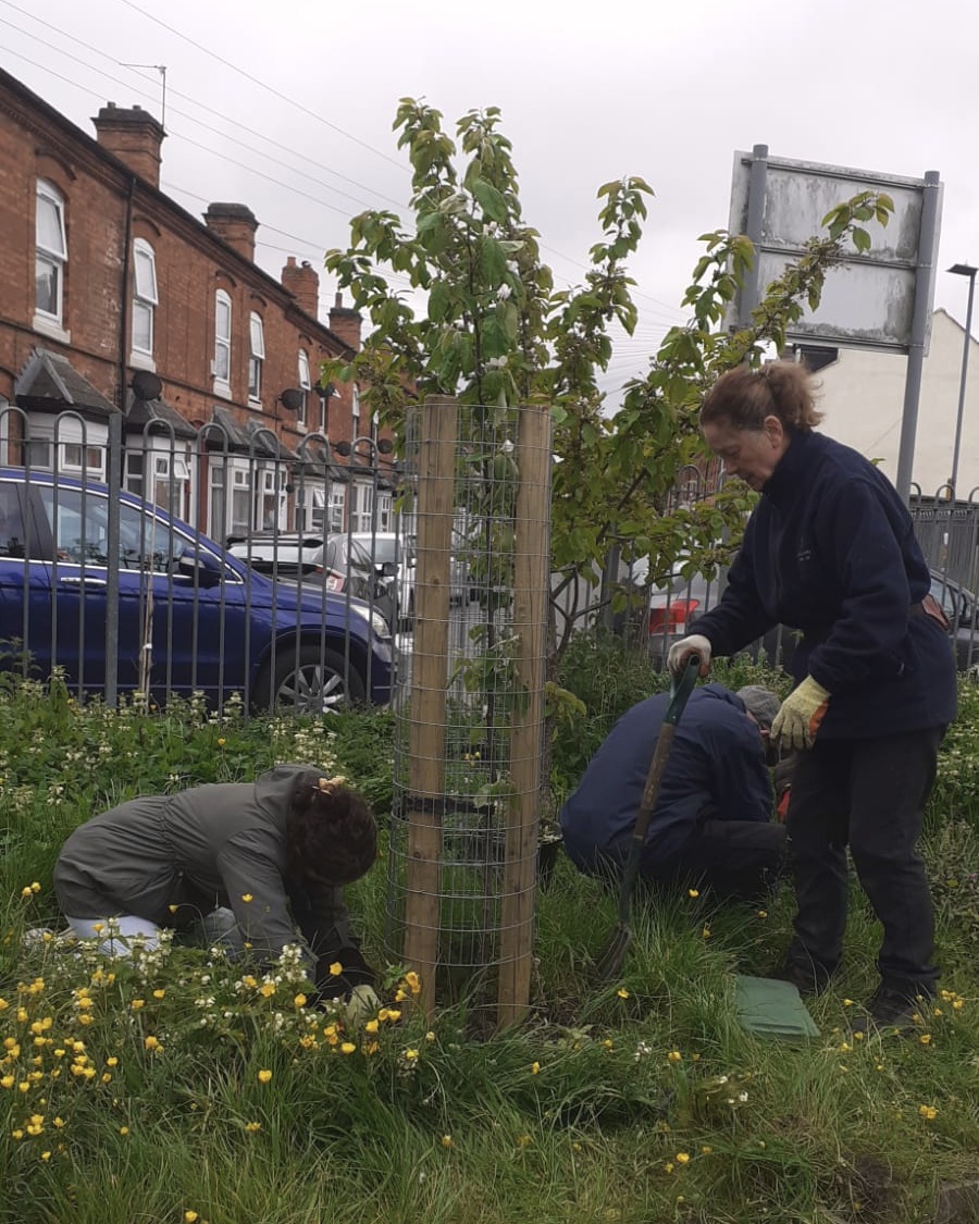 Our #ForestGarden at @balsallheathcf is developing well. We've been looking after it this week with our partners and volunteers in the sunshine.