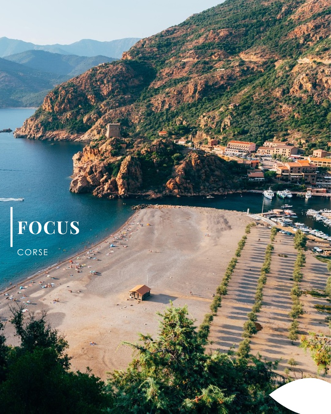 ☀️ Destination du mois : la France, direction la Corse☀️
Surnommée l’Île de Beauté, la Corse séduit par ses paysages exceptionnels et son authenticité unique. Entre plages de sable fin, eaux turquoise, montagnes grandioses et petits villages pleins de charme, chaque coin de l’île offre un véritable dépaysement 🏝️
Flânez dans les ruelles de Bonifacio perchée sur ses falaises, admirez les magnifiques criques de Porto-Vecchio, découvrez Calvi et sa citadelle ou laissez-vous charmer par Ajaccio, ville natale de Napoléon.
La Corse, c’est aussi une destination idéale pour tous les voyageurs : farniente au soleil, randonnées en pleine nature, excursions en bateau, gastronomie locale et traditions corses au rendez-vous ✨
Que ce soit pour un séjour détente, un circuit découverte ou des vacances en famille, la Corse promet des souvenirs inoubliables.
📍 Envie de découvrir l’Île de Beauté ? Venez nous rencontrer dans vos agences Fontana Tourisme pour préparer votre prochain voyage.