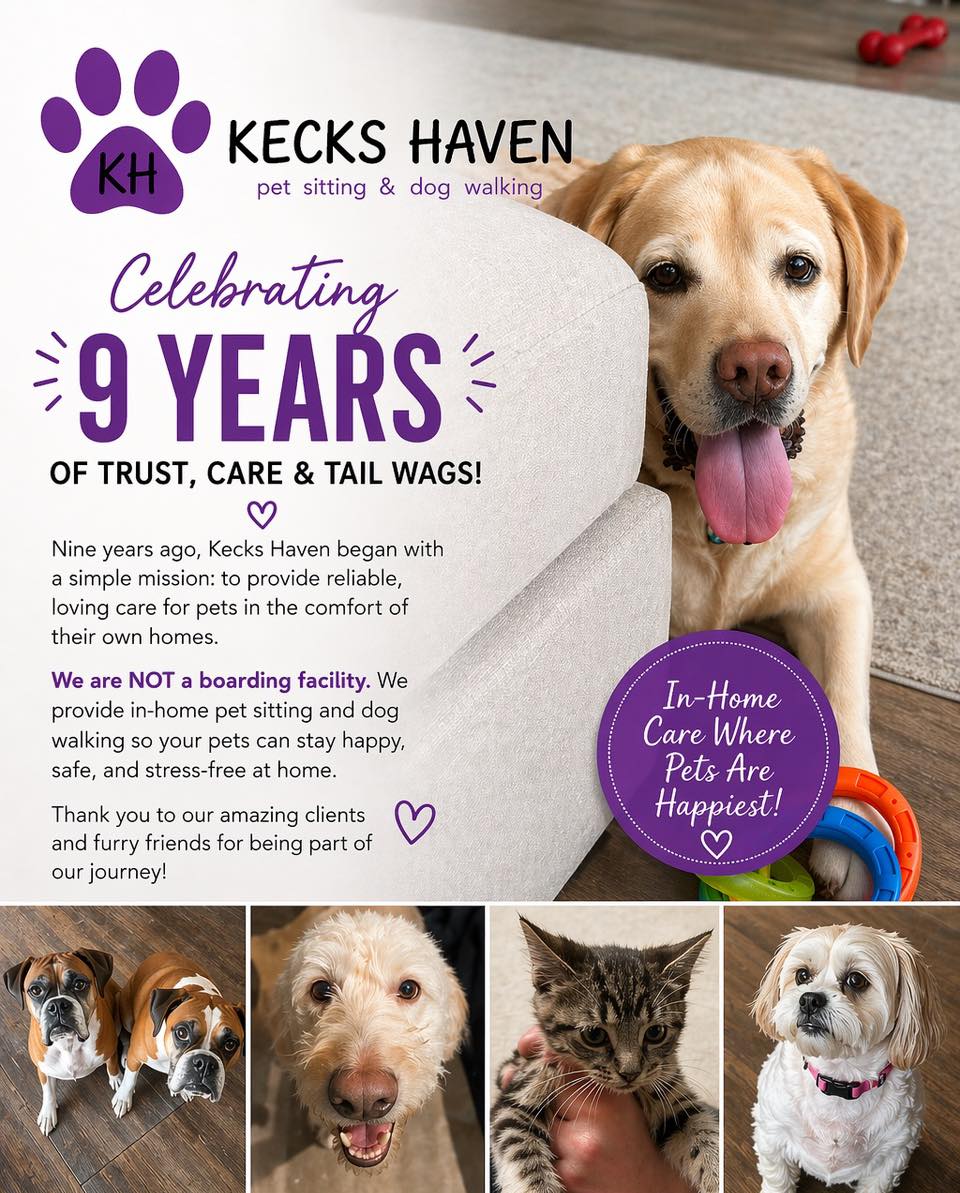 🎉🎉Celebrating 9 years of serving Western St Charles County area pets and their people! If you need pet sitting 🐾 or dog walking 🦮choose our trusted local business!
Bonded, insured, CPR/First Aid certified ⛑️ and Pet Sitters International certified. 🐶🐱🐹🦎🐢Don't settle for a hobbyist, use the professionals! #dogsitternearme #catsitternearme #petsitternearme #dogwalkernearme #keckshaven #dogsitter #ofallondogwalker #wentzvillepetsitter #petsitterslife #newpuppy #petsofinstagram #clientsrock #loveourpetsitters #appreciateourpetsitters #dogsoflakestlouis #googlepetsit #petsittersnearme #dogsofwentzville #psi #petsitter #dogwalker #bestpetever #petsareourbusiness #keepingthemsafeathome #petsittersinternational #petsittinglife #petsittingadventures #petcommunity #petbusiness #dogwalks
