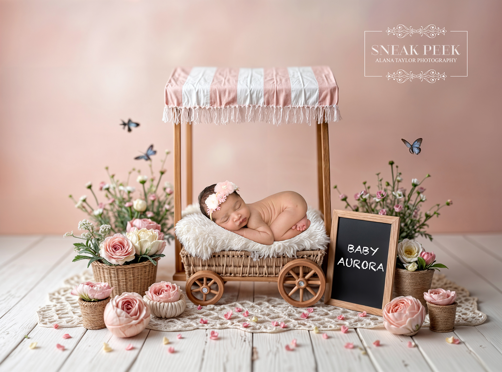 Baby Aurora’s newborn session was one of those sessions that just flows. Sleepy, settled, and completely unbothered by the entire production happening around her.
Having already photographed their first baby, walking into this session felt like catching up with old friends… just with an extra tiny VIP added to the mix.
More cuddles, more tiny details, and a whole new set of memories being created. This is the part of my job that never gets old… watching families grow and trusting me to capture it all over again.
Aurora, you’ve officially joined a very photogenic family. No pressure at all. 🤍
#newbornphotographymelbourne #melbournebabyphotographer #newbornphotoshootmelbourne #babyphotography #clydephotographer #cranbournephotographer #berwickphotographer #pakenhamphotographer #newborngirl #aurorababy #secondbabymagic #familyphotography #melbournephotographer
Melbourne’s Leading Newborn and Cake Smash Photographer – Book Early!
www.alanataylorphotography.com.au
- Newborn Photography Melbourne
- Smash Cake Photography Melbourne
- Newborn Photographer Melbourne
- First Birthday Cake Smash Photos Melbourne
- Cake Smash Photography Near Me
- Cake Smash Photos Melbourne
- Newborn Photography Near Me
- Newborn Baby Photographer Melbourne
- Cake Smash Photographer Melbourne
- Affordable Newborn Photography Melbourne
#alanataylorphotography #melbournenewbornphotography #melbournenewbornphotographer #newbornphotographermelbourne #newbornphotographymelbourne #newbornsessionmelbourne #newbornphotographyvic #clydenewbornphotographer #southeastmelbournenewbornphotographer #newbornphotographynearme #melbournebabyphotographer #newbornbabyphotographermelbourne #melbournefamilyphotographer #southeastmelbournephotographer