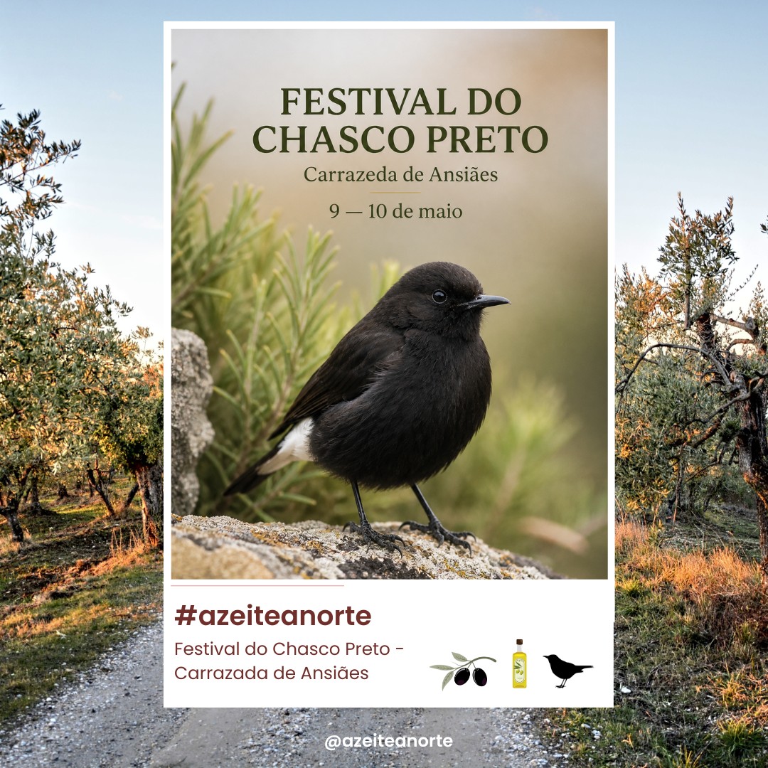 📍 Carrazeda de Ansiães
📅 9 — 10 de maio
Há territórios que se descobrem com tempo. Este é um deles.
Em Carrazeda de Ansiães, o Festival do Chasco Preto convida a olhar o Douro de outra forma — mais silenciosa, mais atenta, mais ligada ao que realmente importa.
👉 Caminhadas e experiências na natureza
👉 Observação de aves e vida selvagem
👉 Um território que se revela sem pressa
Mais do que um evento, é um encontro com o lado mais puro de Trás-os-Montes — onde a paisagem, a biodiversidade e a comunidade caminham juntas.
Aqui, não se acelera. Observa-se.
E aprende-se a respeitar.
🫒 Porque cuidar da terra também é saber escutá-la.
#azeiteanorte #carrazedadeansiaes #dourosuperior #natureza #turismosustentavel #biodiversidade #SlowTravelPortugal #VisitPortugal #Oleoturismo #OliveOilTourism #TrásOsMontes #AltoDouro #AuthenticPortugal #SpringInPortugal #azeite #nortedeportugal #turismoanorte #turismodenatureza #turismorural #olivoturismo #oliveoilturism #gastronomy #slowtourism #portoandnorth #visitportugal #visitportoandnorth #slowtravel #olivoturismoportugal #oleoturismoportugal #descubraportugal