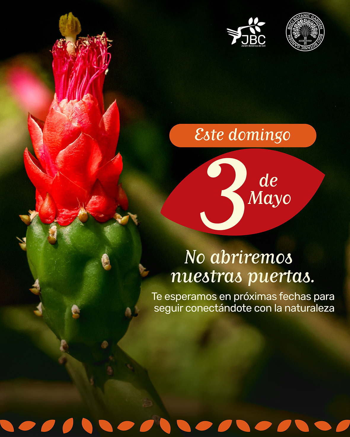 Aviso importante: Este domingo 3 de mayo no abriremos nuestras puertas. 🚫
Nos tomamos un momento para cuidar de nuestro hogar verde y asegurar que cada rincón del Jardín esté listo para recibirte en los próximos días.
Gracias por entender y por ser parte de la familia del Jardín Botánico de Cali.
¡Nos vemos pronto! 💚
