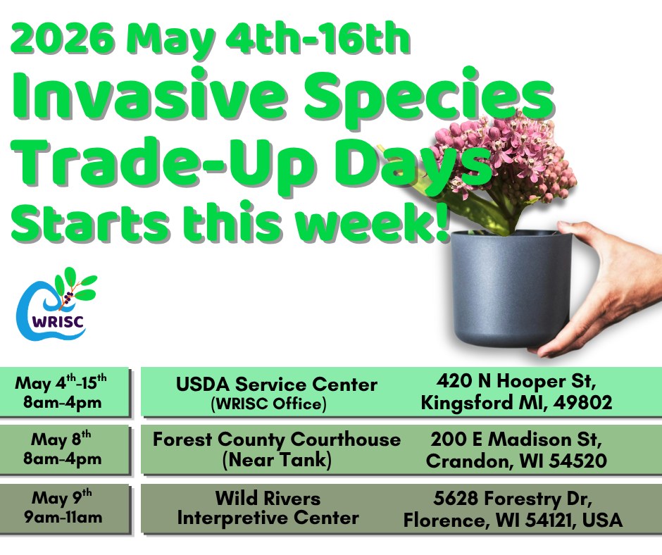 Trade -Up Days starts tomorrow!
Starting Monday, May 4th, you can start dropping off invasive shrubs from your property! Check out the drop-off events happening this week ⬇
More info here ➡ https://www.wrisc.org/trade-up-days
#nativegarden #nativeplants #invasivespecies #gobeyondbeauty