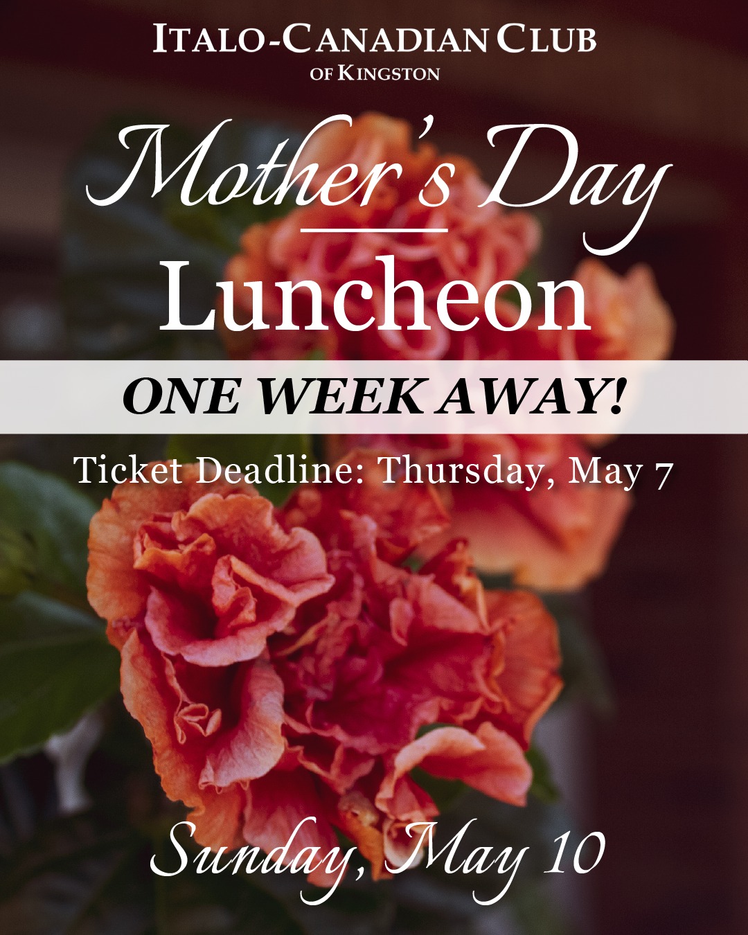 📅 Mother’s Day is almost here—and so is our ticket deadline!
There are just a few days left to reserve your spot for our Mother’s Day Lunch on Sunday, May 10. No walk-ins, so act fast!
Join us for a welcoming afternoon filled with delicious food, great company, and a well-deserved celebration for Mom. 💛
🎟️ Get your tickets before they’re gone:
👉 https://www.icckingston.com/event-details/mothers-day-luncheon
📞 613-542-9323
#LastCallYGK #MothersDayKingston #KingstonEvents #DontMissOut #YGKCommunity