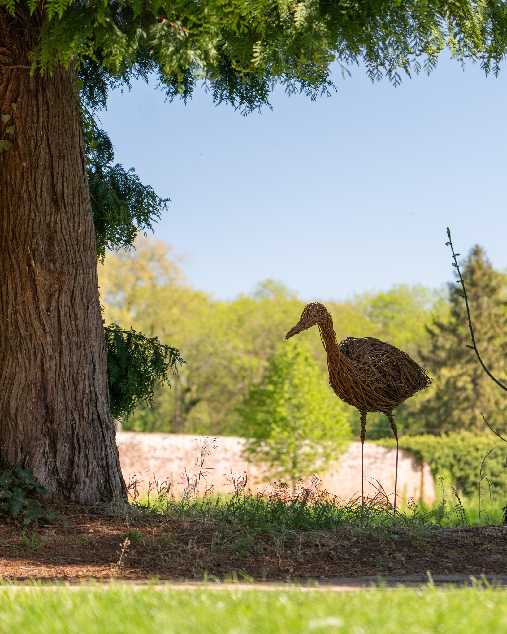 The Cookham Festival Sculpture Garden kicks off tomorrow!
Don't miss out on the chance to see some incredible sculptures and art by some amazing artists!
🗓️ 2 - 17 May 2026
🏷️ As a JLP Partner or Odney Member, it's FREE!
Anything you see is also available to purchase!
@cookhamfestival