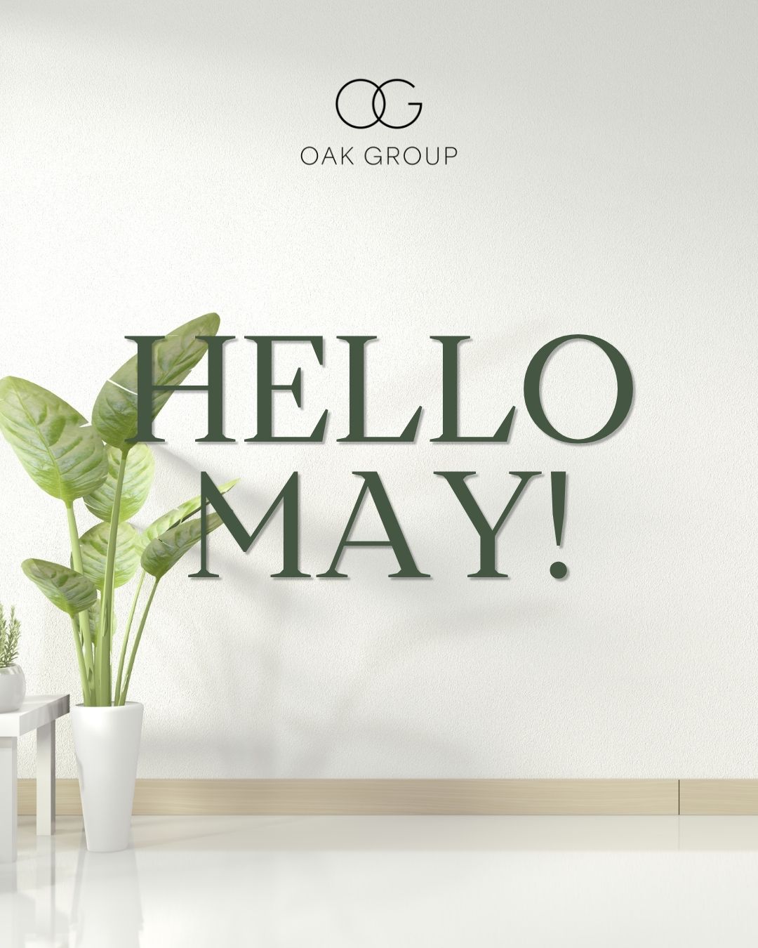 oakgroupcolorado