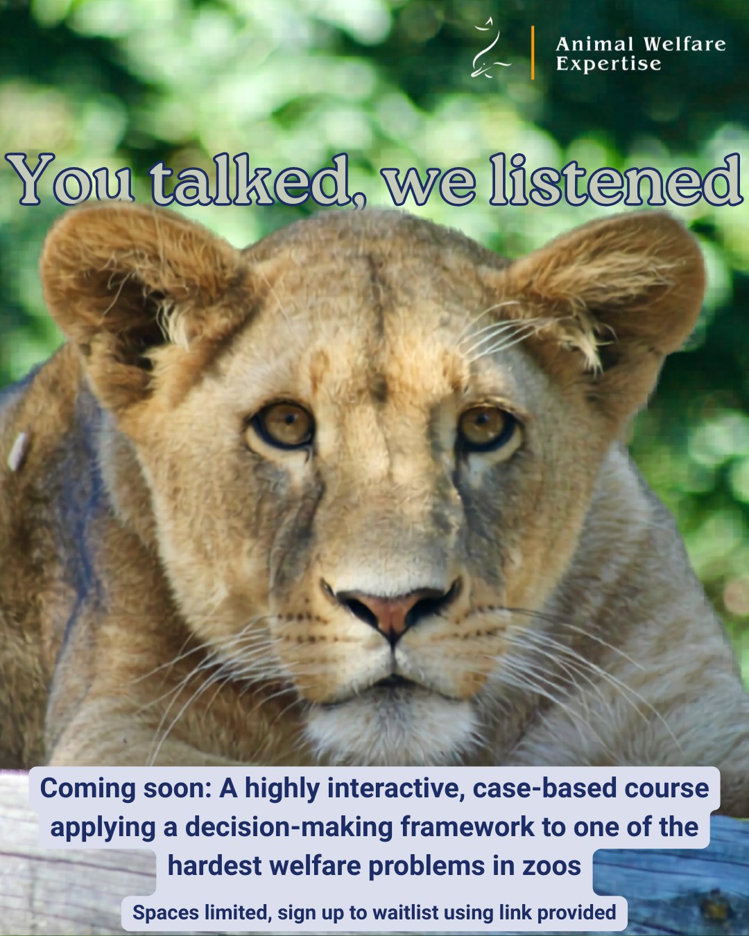 Thank you to everyone who took the time to feedback on our upcoming Abnormal Repetitive Behaviour (ARB) course. We’ve reviewed all your thoughts and have put together an innovative course outline that we hope you’ll like.
We’re very excited to share that this will not be a typical online course. We listened to your feedback telling us that a major point of value for you will be to go through your own ARB case studies.
So, the course will be a highly interactive, case-based program, with an optional case-study review session included in the price. You can bring your own ARB case to work through step-by-step across the course, or if not, you can just attend the sessions. We’ll go through the theory and evidence for using a structured, evidence-based decision-making process that you can apply going forward.
Across 6 weeks, you will:
• Develop an advanced understanding of ARBs
• Learn how to interpret ARBs properly (beyond “good vs bad welfare”)
• Apply each session directly to your own animal or case
• Use practical worksheets and tools to guide diagnosis and intervention
• Design targeted, realistic management strategies
• Meet like-minded course members to continue connections with, if you desire
You’ll leave with:
• A fully developed intervention plan
• A clear framework you can reuse across cases
• Greater confidence tackling complex or chronic ARBs
• A Certificate of Completion
We have interested participants from (literally) all over the world, so we’re planning to run a online hybrid Live session + self-paced option. But because we’ll be running live sessions, we may have to limit the number of places for the first course, so we’re starting to collect names for the waitlist.
If you’d like to sign up to the waitlist for the course (no obligation required), please use the Google Form (link in our bio) and scroll to the end to enter your email.