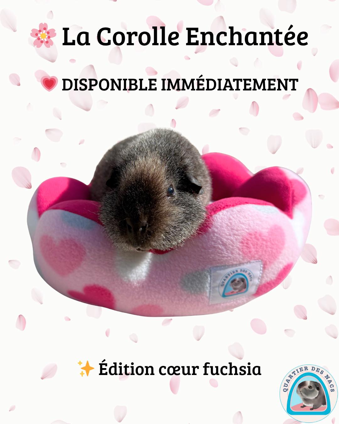🌸✨ La Corolle Enchantée – Édition cœur fuchsia DISPONIBLE ✨🌸
Un petit nid… pour de grands moments de douceur 💗
Cette Corolle Enchantée en motif cœur et polaire fuchsia a été imaginée pour offrir à votre compagnon un espace rassurant, enveloppant et ultra confortable. Sa forme en corolle, inspirée des pétales, crée un cocon parfait pour les animaux qui aiment se blottir et se sentir en sécurité.
☁️ Moelleux irrésistible🌸 Forme enveloppante anti-stress💗 Design doux et plein d’amour🧵 Fabrication artisanale avec soin
C’est une pièce unique, déjà confectionnée et prête à rejoindre son futur petit occupant 🐾
🚚 Disponible immédiatement
👉 Idéale pour cochons d’Inde, petit lapins, rats, furets, chinchillas…
💌 Pour l’adopter : passe par la boutique
✨ Abonnez-vous pour découvrir toute la Collection Corolle et les prochaines créations à venir ✨
#cochondinde #lapin #rongeur #accessoiresanimaux #faitmainfrance #artisanatfrancais #coconanimal #dodoanimal #quartierdesnacs
💗 Prenez soin de vos animaux avec Quartier Des Nacs