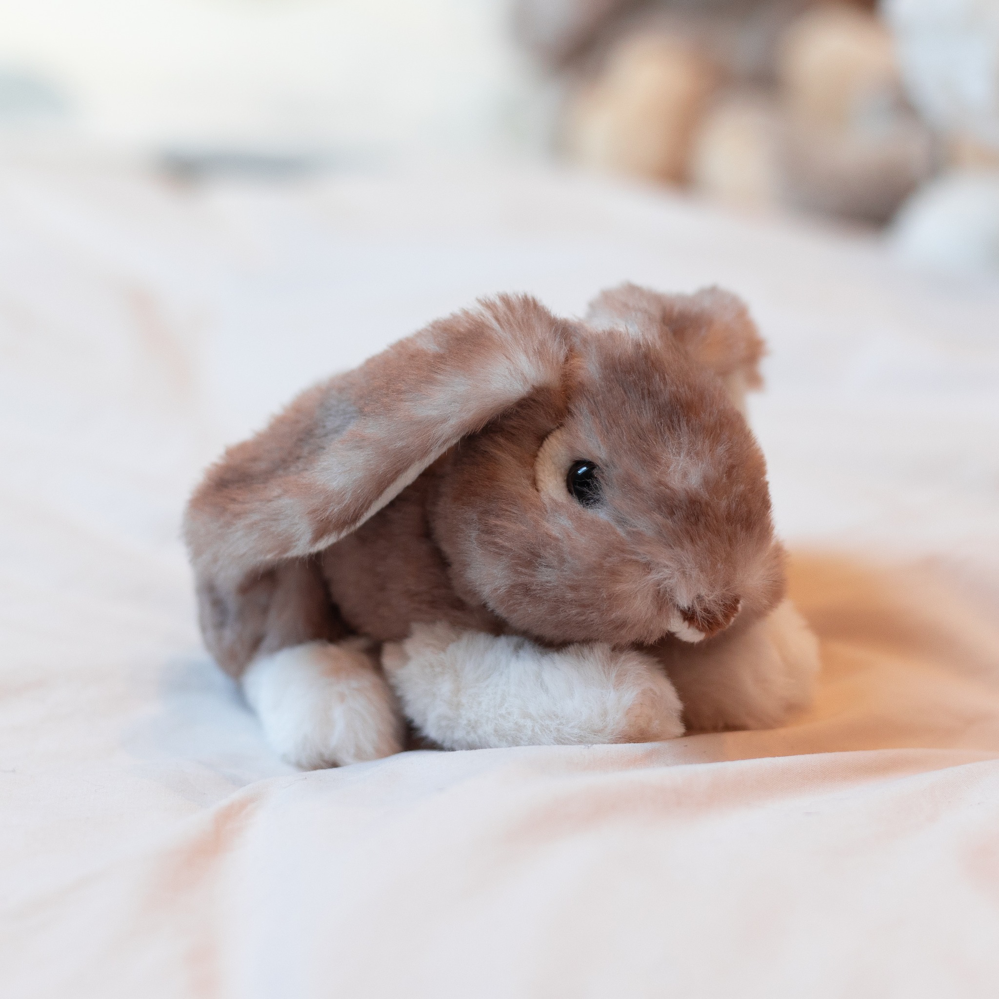 Craquez pour cette adorable peluche lapin brun 🐰
Avec son format allongé et sa douceur irrésistible, elle est parfaite pour accompagner les petits dans leurs moments de calme et de tendresse.
✨ Un compagnon tout doux à câliner sans modération.
👉 https://www.lecomptoirdesauthentics.com/product-page/peluche-lapin-doux-brun-allongé-15-cm-2
#peluche #doudou #bebe #cadeau #naissance #lapin #douceur