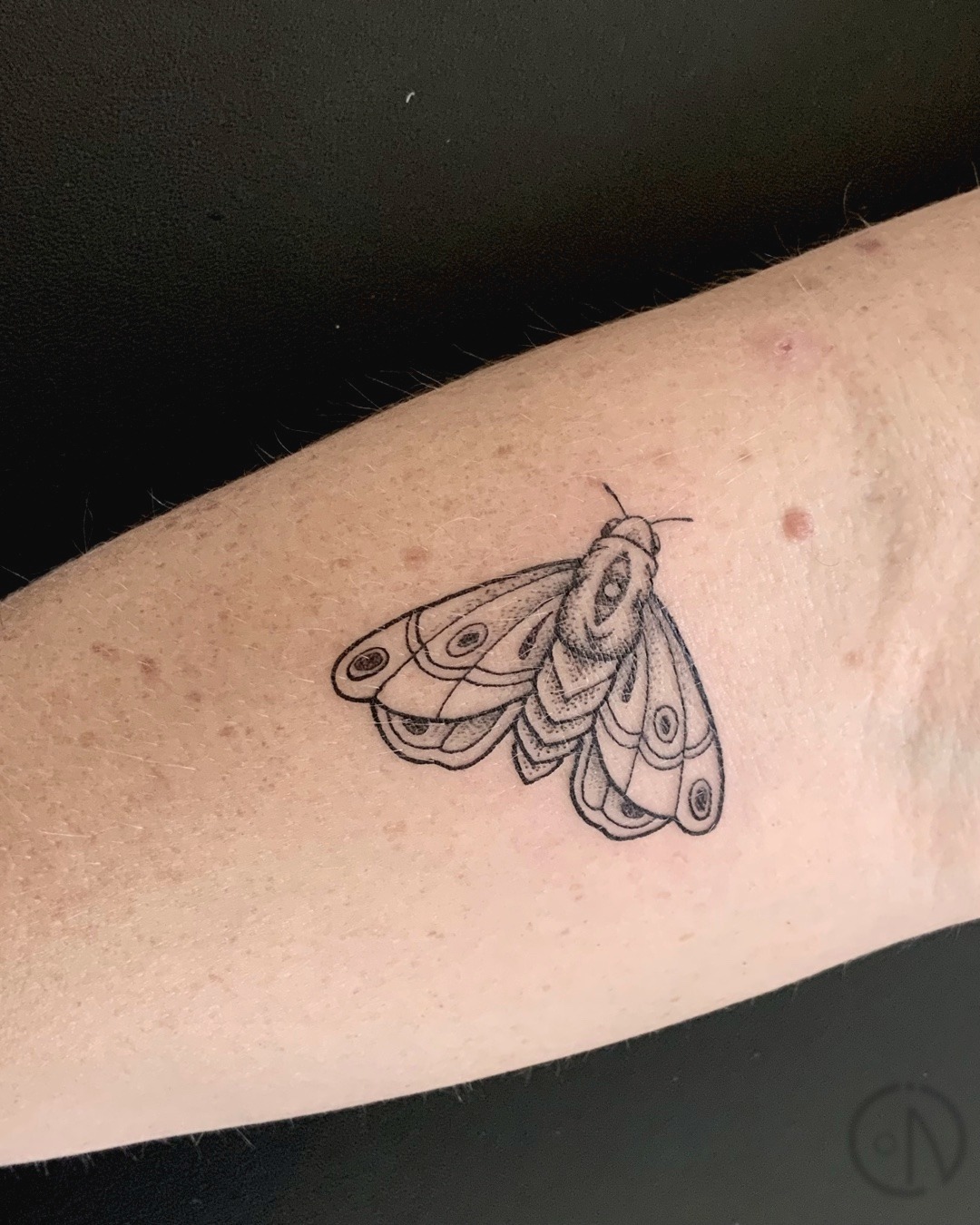 Now this Saturday 9th available! PM me or call for bookings.
Here are some more cool little flashes I did a couple of weeks ago. Thanks to all the lovely people and good times. PM me if you would like any of the flashes designs I posted. Some new ones to come !
#whangareitattoostudio #whangareitattoo #girlstattoo #whangareitattooartist #tutukakatattooartist #finelinetattooartist #smalltattoos #flashtattoos #cutetattooideas #tinytattoos