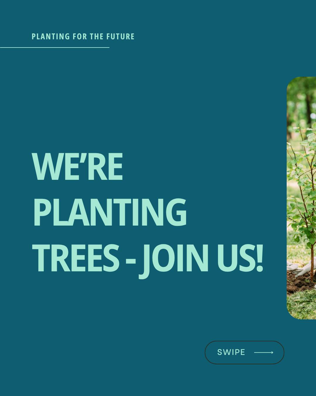 We’re excited to bring our community together to plant trees 🌳
🗓Saturday, May 9th 🕛 9:00 AM📍TBD - within the Town of Collingwood. Sign up to get all the details! Link in B10!
#treeplanting #climateaction #communitybuilding #collingwood #climateaction