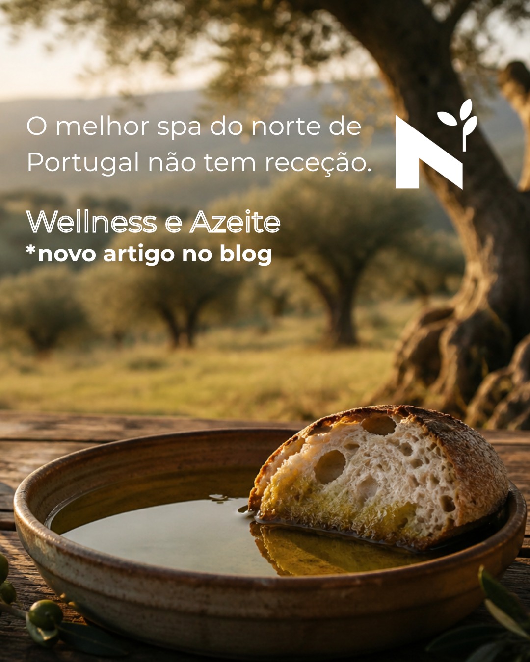 Há uma versão de bem-estar que não tem receção.
Não tem app.
Não tem mensalidade.
E funciona melhor do que quase tudo o resto.
Chama-se Trás-os-Montes e Alto Douro.
Aqui, o silêncio não é conceito — é ausência real de ruído.
A luz não é filtrada — é natural.
E o tempo… volta a ter espaço.
Não é metáfora. É fisiologia: menos cortisol, melhor sono, corpo em modo de recuperação.
E depois há o azeite.
Antes dos séruns, já estava lá.
Rico em antioxidantes, próximo da pele humana, usado há séculos — não por tradição, mas porque resulta.
Mas mais do que isso: provar azeite obriga-te a parar. A prestar atenção. A estar presente.
E às vezes é só isso que falta.
Se precisas de um reset, não precisas de ir longe.
Precisas de vir devagar.
👉 Novo artigo no blog (link na bio)
#trasosmontes #altodouro #slowliving #slowtourism #wellnesstravel #azeite #welness #oliveoil #portugalreal #visitportugal #naturetherapy #digitaldetox #portugalnature #mediterraneanlife #descobrirportugal #portugalinhiddenplaces #WellnessPortugal #AzeiteaNorte #BemEstarNatural #AzeiteDOP #DesacelerarPortugal #NorteDePortugal #OleoturismoPortugal #TurismodeNatureza #RetiroNatureza