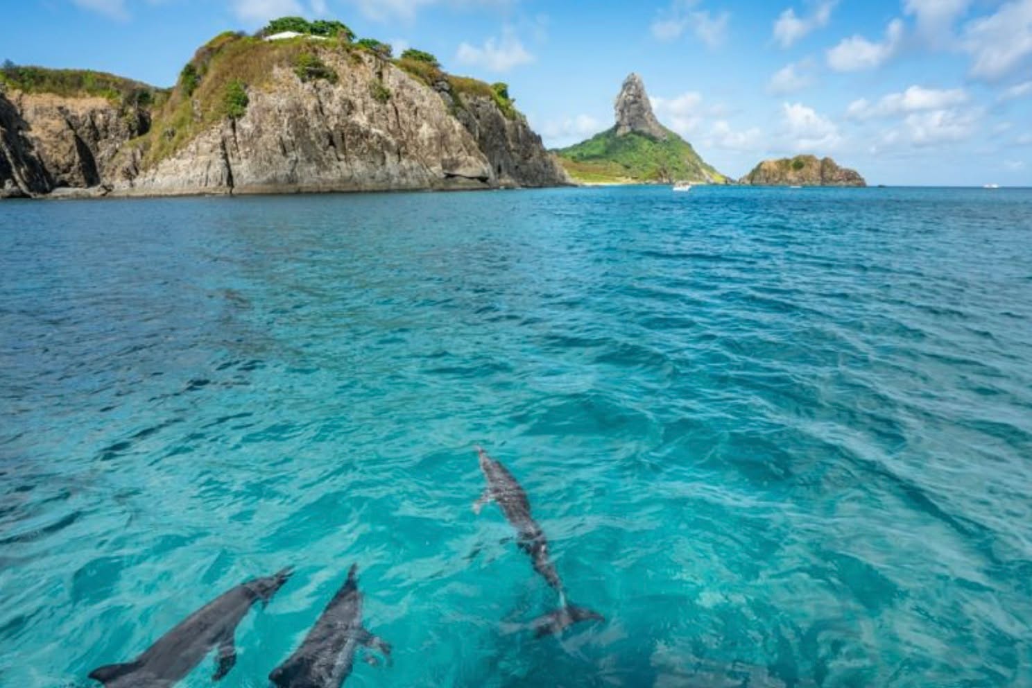 Traveling is much more than visiting new places — it’s about living transformative experiences. And when Blumar talks about Double the Natural Beauty, they're referring to destinations that offer not just one, but two incredible landscapes in a single trip. Imagine exploring paradise-like beaches and, within the same itinerary, venturing through mountains, waterfalls, or lush forests. Here we share one example where guests will discover how to make the most of destinations with Double the Natural Beauty, with practical tips, inspiration, and the ideal support to make a trip unforgettable.
Fernando de Noronha: Ocean + Wildlife, One of Brazil’s most sought-after destinations:
Crystal-clear waters and rich marine biodiversity
Ecological trails with spectacular views
Dolphin and sea turtle watching
According to ICMBio, Noronha has one of the most well-preserved marine ecosystems in the world.
Photo: Paula Montenegro / Shutterstock.com
Can we tell you more? Ask us for details info@dominiquedebay.comor phone us at 1-212-752-1416 or WhatsApp 1-917-940-2407 #dominiquedebaycollection @blumardmc