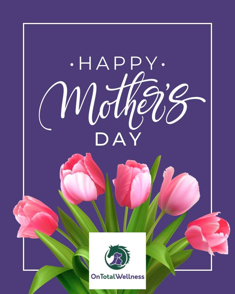 Happy Mother’s Day to all the mothers of 2-legged and 4-legged beings 💐🐴💛