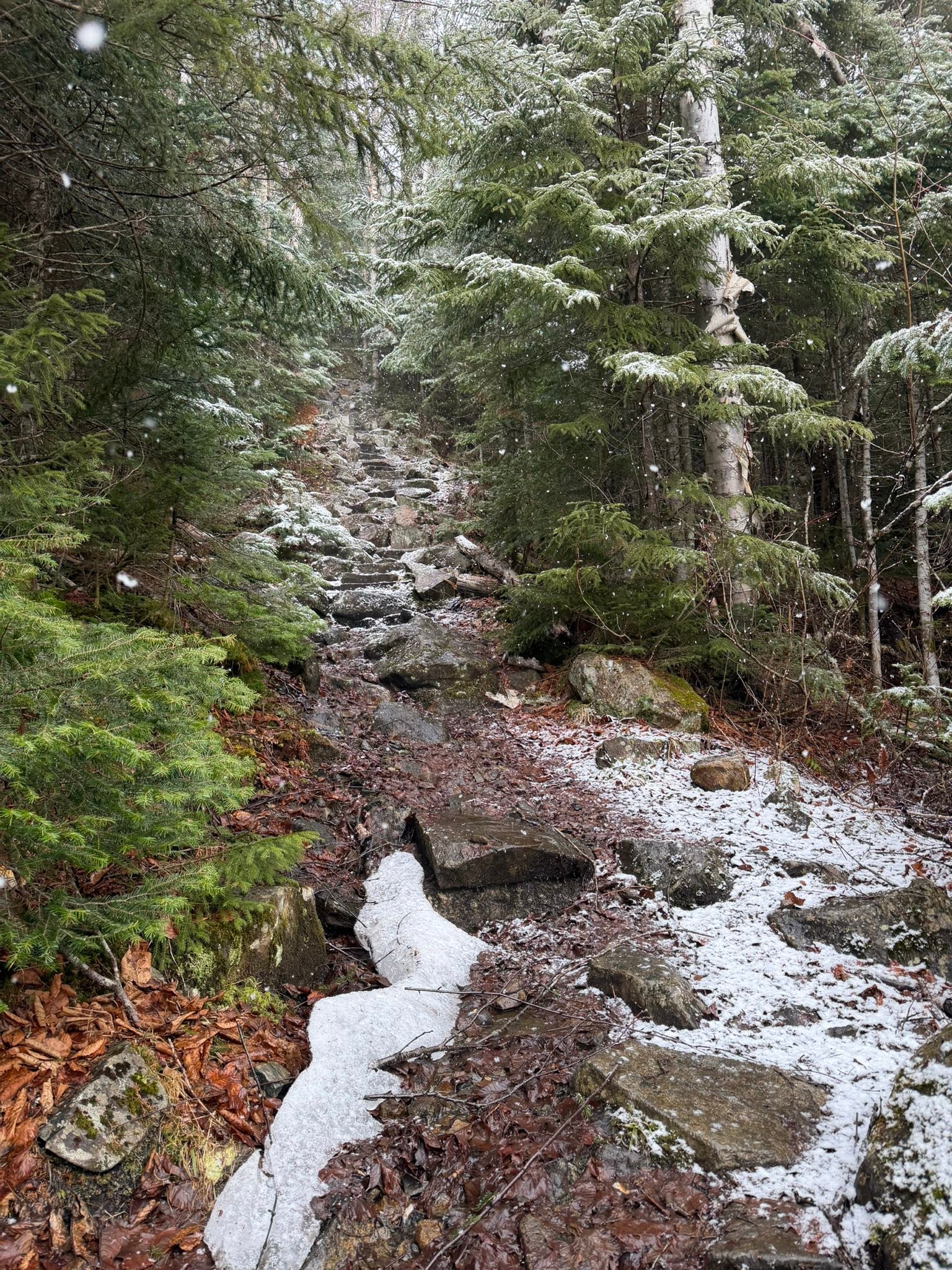 So.. some things really blow my mind like: Yesterday, I hiked the closest 3k ft mountain to my house. We got a surprise little snow storm and had some rain. I managed to make it up and down, slippery rock stair cases, all while continuing to teach someone (🧐🐕) to go “slow” and “wait” for me on the downs as I was attached to her. Found a couple of slippery roots and things but did not fall.
This morning.. I take her out for a potty break and didn’t notice the shine from the frost that had formed on the deck and guess what? I managed to slip and smack all three stairs on the way down.. even blew my slippers off my feet 🤦♀️😂 definitely going to feel that for a few days 😂