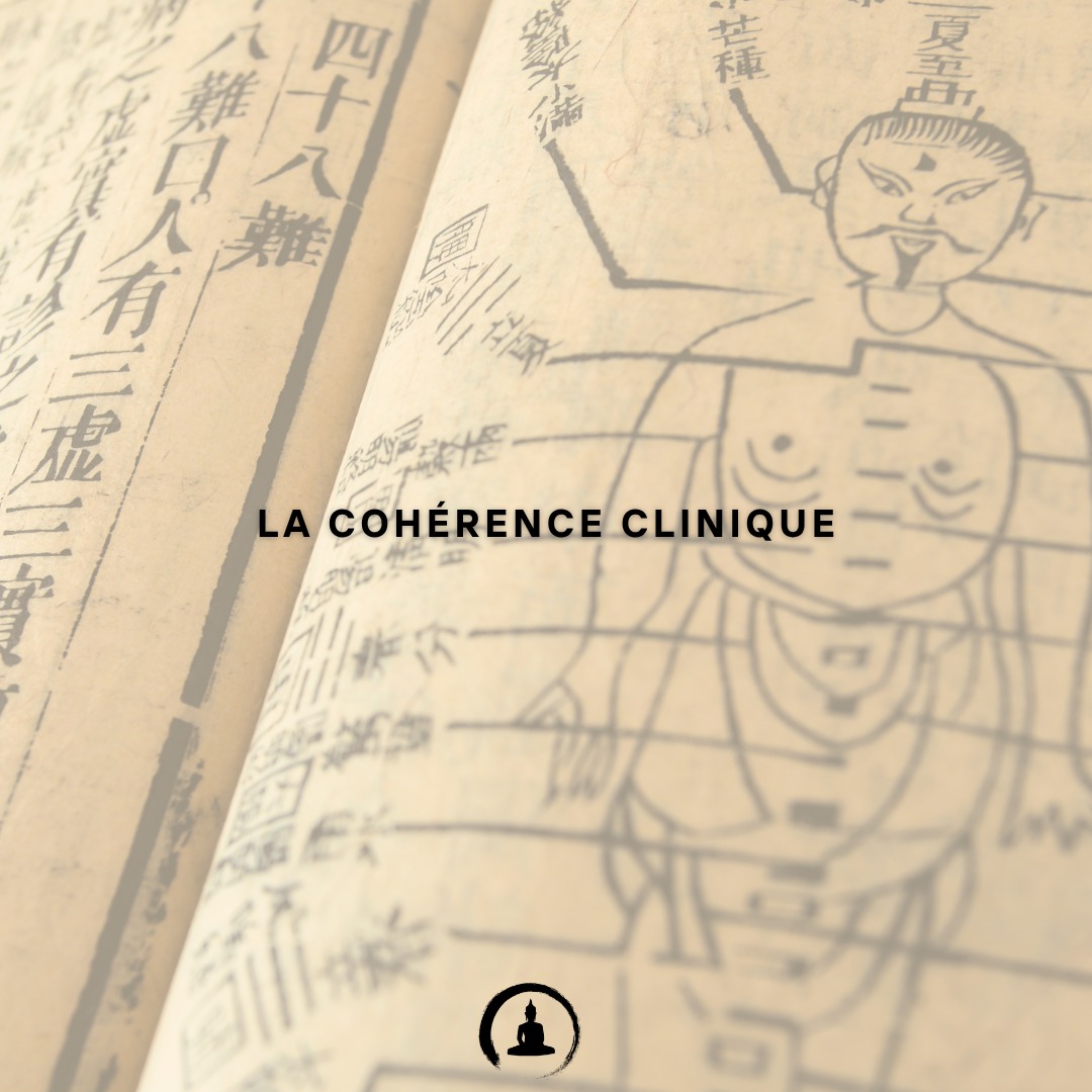 La cohérence clinique.
C’est ce qui fait la différence entre appliquer…et comprendre.
En médecine chinoise, un diagnostic n’est pas une liste.
C’est une cohérence.
👉 dynamique
👉 couche
👉 climat
👉 substance
👉 racine
Tout doit aller dans le même sens.
Si un élément ne correspond pas, le diagnostic est faux.
Le corps, lui, est toujours logique.
Exemple simple :
Reflux + agitation
Tu pourrais dire : “le Qi ne descend pas”
👉 tu es proche…mais pas précis.
Ici, le Qi ne fait pas que ne pas descendre.
👉 Il monte.
C’est un Qi rebelle.
Deuxième point clé :
La racine.
👉 Rate ? Non.
La Rate = fatigue / humidité
Pas agitation / montée
Observe :
Agitation
Tension
Montée
👉 Signature du Foie
Lecture correcte :
Foie pousse
Estomac subit
👉 Jue Yin perturbe Yang Ming
Et là, tout devient cohérent :
👉 Qi monte
👉 Chaleur
👉 Reflux
Traitement évident :
Faire descendre le Qi
Calmer le Foie
Clarifier la chaleur
La cohérence, c’est ça.
Pas plus d’informations.
👉 Mais des informations alignées.
Plus ton diagnostic est cohérent, plus ton traitement devient simple.
📍 Genève
⬇️ RDV
#MedecineChinoise #TCM #Qi #Foie #Estomac #Acupuncture #SantéNaturelle #Fascia #Geneve #Suisse