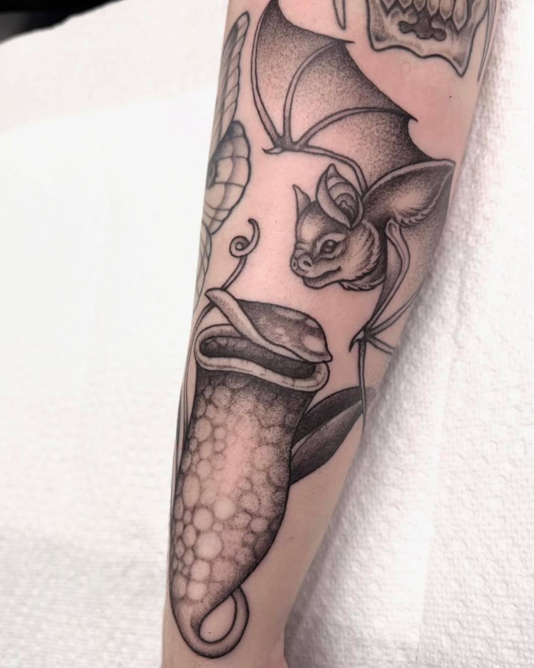 Pitcher plant and bat 🦇🌱 design done by @renisanartist ! Ren is here Tuesday/Wednesday/Friday/Saturday for consultations!
#ironwoodink #omahatattooshop #blackandgraytattoo #battattoo #omahanebraska