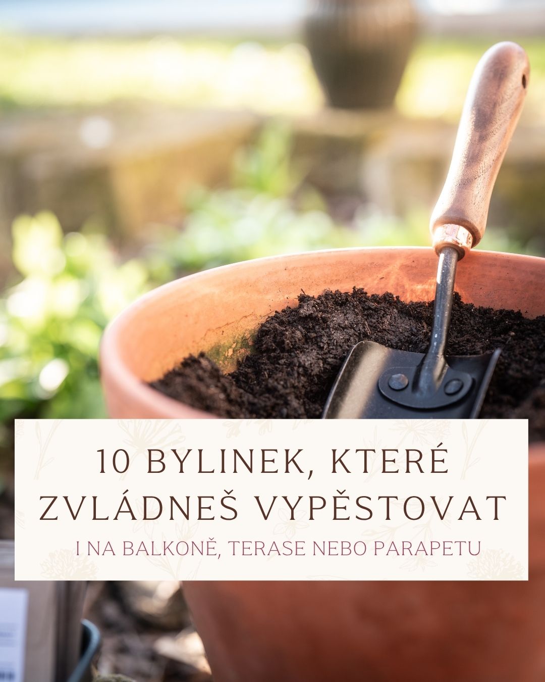 Co mě na pěstování bylinek baví nejvíc?
Že je to tak snadné! Navíc je to pro mě způsob, jak zpomalit, být víc v kontaktu s přírodou a zároveň mít po ruce něco vlastního - čerstvé bylinky do jídla i pro domácí využití.
Na pěstování bylinek nepotřebuješ velkou zahradu. Krásně se jim daří i na balkoně, terase nebo klidně jen na parapetu.
Připravila jsem pro tebe přehled 10 bylinek, které zvládne vypěstovat úplně každý - ano, i když teprve začínáš.
Najdeš v něm bylinky jako měsíček, heřmánek, bazalku, meduňku, mátu, tymián, levanduli, šalvěj, echinaceu nebo anýzový yzop a u každé i to nejdůležitější:
- způsob pěstování
- sklizeň
- možnosti využití
👉 Tabulku si můžeš stáhnout zdarma a vybrat si, se kterou bylinkou letos začneš - https://www.bylinkatka.com/e-book/ebooky-a-materialy-zdarma.
A schválně mi napiš - pěstuješ doma nějaké bylinky? A které jsou tvoje nejoblíbenější? 💚
#bylinkatka #bylinky #pestovanibylinek #domacibylinky #bylinkovazahradka
