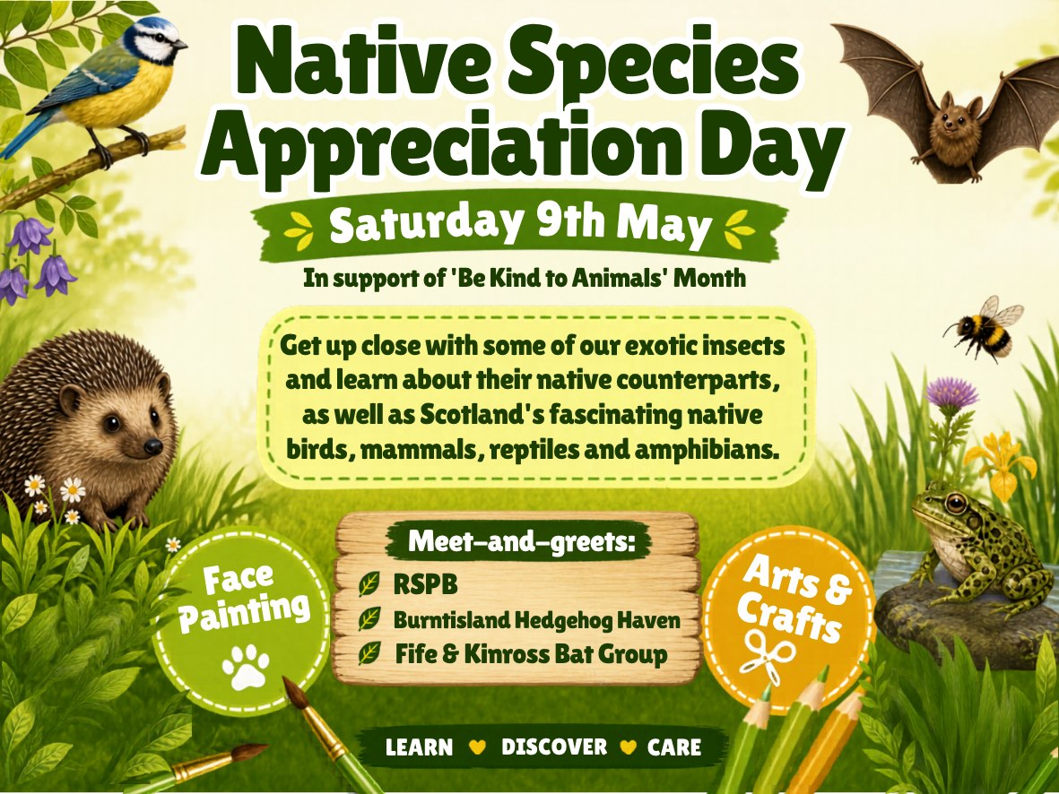 Reminder: Native Species Appreciation Day is Tomorrow! 🦔🦇🐦
Join us at Fife Zoo tomorrow, Saturday 9th May for our Native Species Appreciation Day, held in support of Be Kind to Animals Month.
We’ll be celebrating Scotland’s fascinating native wildlife with help from some brilliant local groups, including:
🪶 RSPB
🦔 Burntisland Hedgehog Haven
🦇 Fife & Kinross Bat Group
There’ll also be the chance to get up close with some of our exotic insects and learn about their native counterparts, plus family-friendly fun, including:
🎨 Face painting
🖍️ Arts & crafts
🐛 Wildlife learning
💚 Native species activities
It’s a lovely day out for families, animal lovers and curious little explorers.
📅 Saturday 9th May
📍 Fife Zoo
💷 Included with your general admission
Come along, learn something new, and help us celebrate the wildlife living right here on our doorstep.