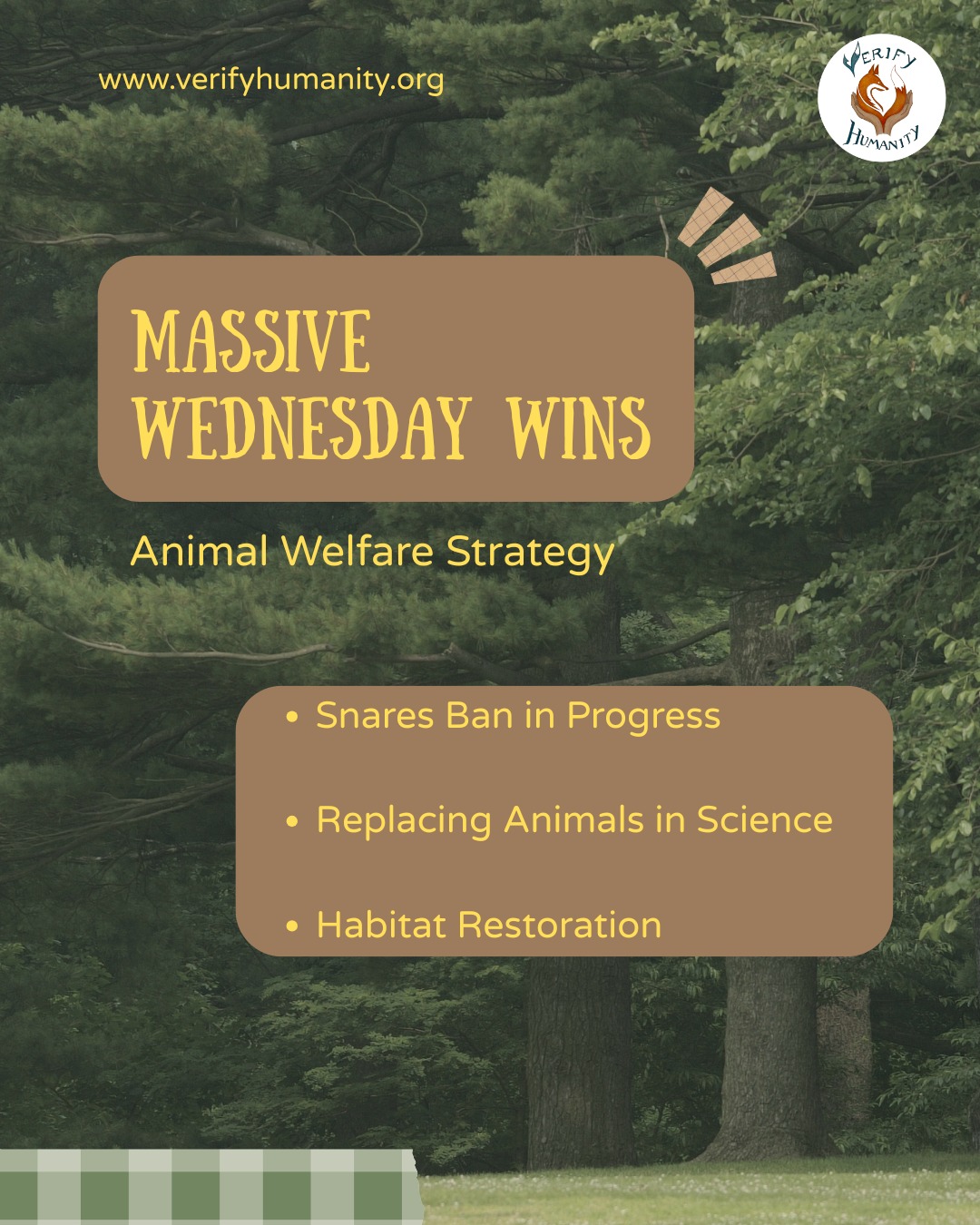 A BRIGHTER FUTURE FOR WILDLIFE! 🌱
MP Adrian Ramsay very well said, "A strategy is only as good as its delivery."
After looking at the challenges ahead, it’s wonderful to stop and celebrate how far we’ve actually come. The UK animal welfare strategy includes some truly historic milestones that prove change is happening.
Quoting MP Dame Angela Eagle, "We are also among the only European countries without a closed season for hares, which means that young hares can be left motherless and vulnerable. We will therefore consider introducing a closed season, which should reduce the number of adult hares shot during the breeding season." From finally working towards closing hunting loopholes to giving hares a peaceful "maternity leave" during breeding season, common sense is winning the day. And our hedgerows are getting the protection they need to stay leafy and safe.🦌🌳
MP Jim Shannon mentioned, "While I oppose animal testing on many levels—it is not worth testing a face cream that may take away wrinkles on animals—I do believe that there is a place for animal testing for medication to save lives. That must be acknowledged in any strategy that comes forward." We are even seeing science move toward clever, high-tech alternatives to keep animals out of labs.
It feels like our countryside is finally becoming the welcoming home our wildlife deserves. Swipe through to see the wins we’re cheering for today! 💚
📢 Share the good news
🗣️ Let us know which win made you smile the most!
#Wednesdaywin #UKwildlife #Habitat #Animalwelfare #Positivechange #Crueltyfree
SOURCE: https://hansard.parliament.uk/commons/2026-01-21/debates/EC63BF37-555F-4ADB-94BD-266E8208D610/AnimalWelfareStrategyForEngland