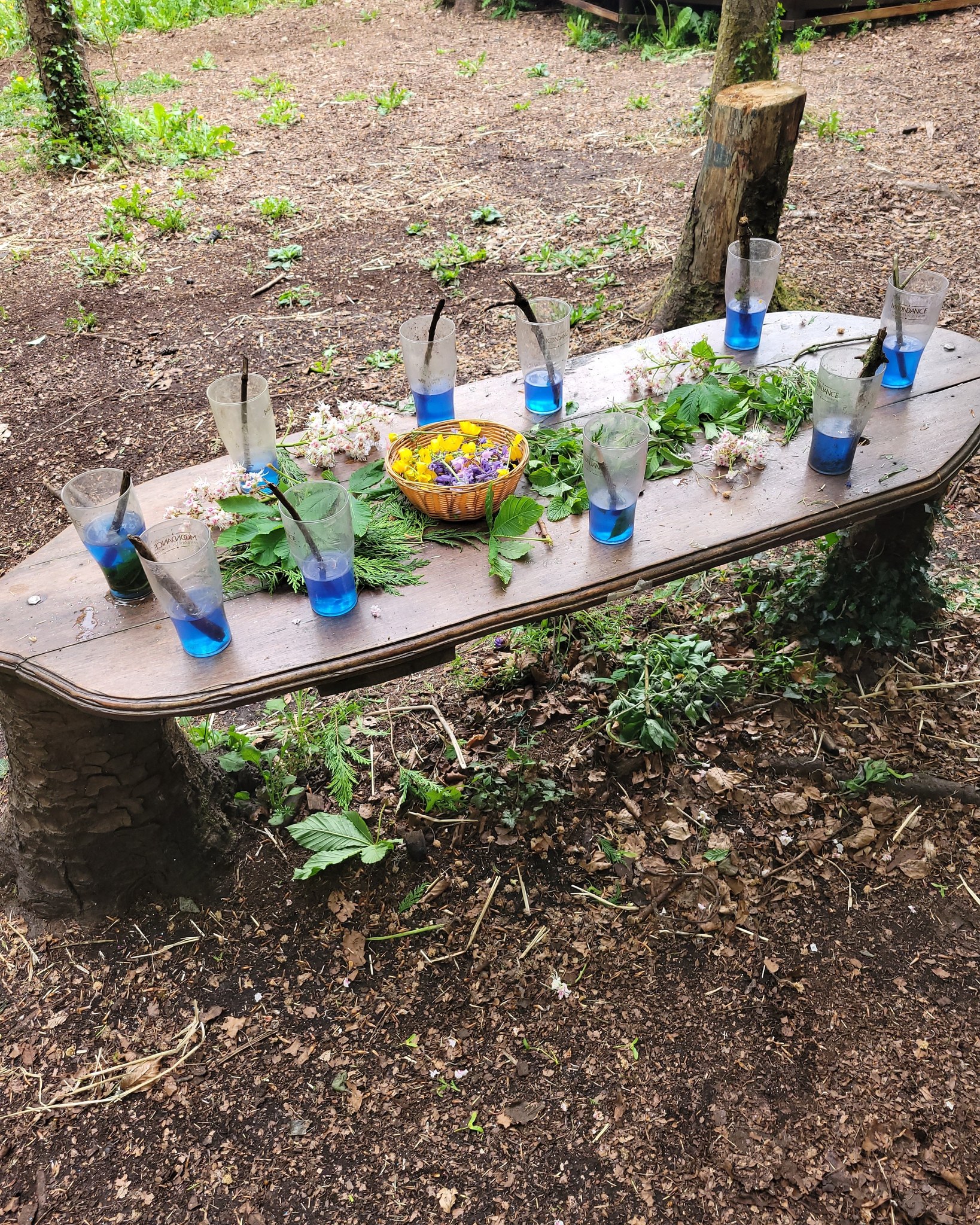 Múinteoir Louise and Seán’s classes had a fantastic first trip to Go Wild Forest School! We identified the leaves of different trees, explored many of the fun outdoor activities, learned how to build a campfire and roasted marshmallows on it! We also stopped off at Corrandulla playground to have lunch and a play before returning to school. We can’t wait for our next visit! 🌳🌿🌱🍃🔥