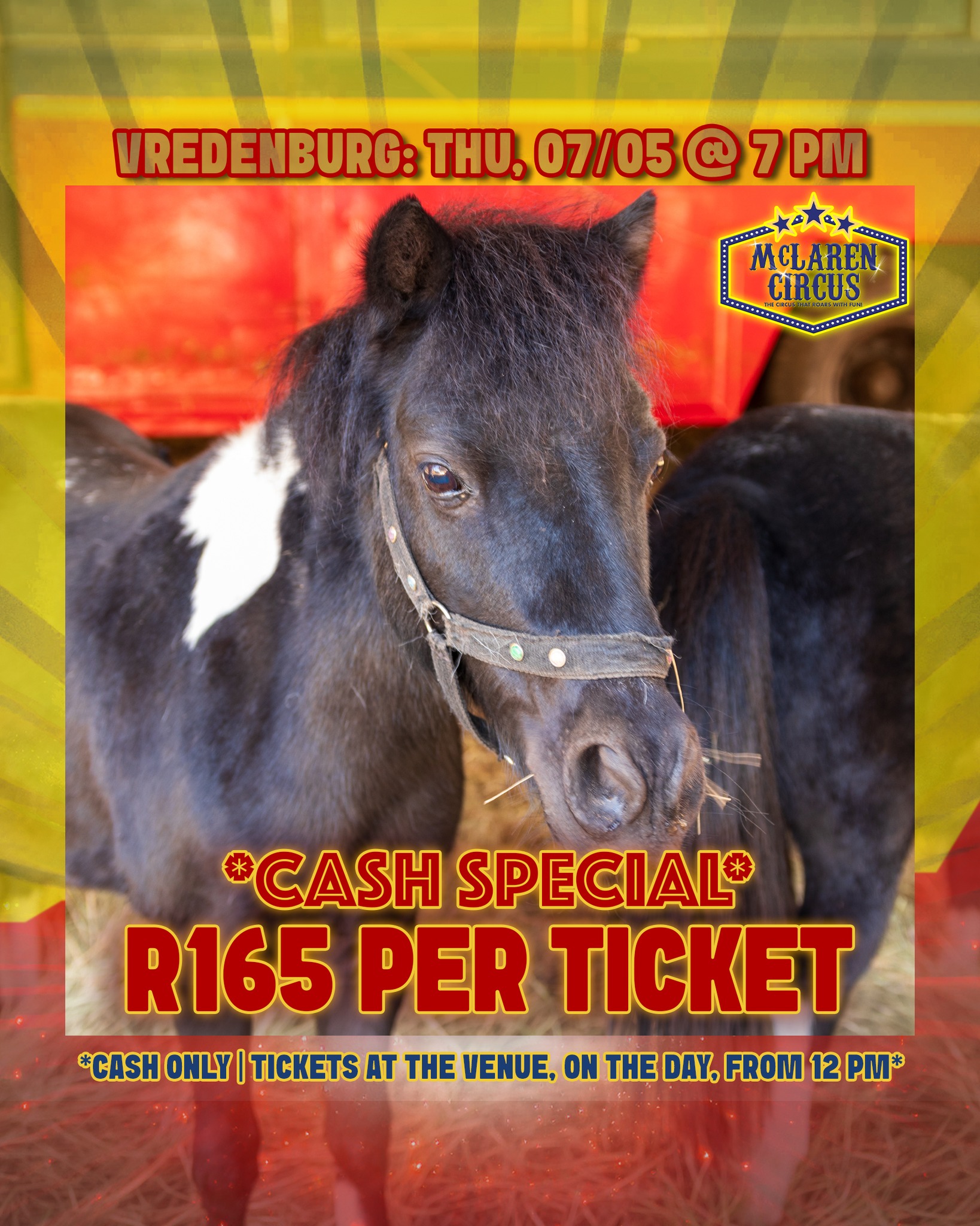 🤹♂️CASH SPECIAL: Any seat, only R165 each! 🎟️✨
🎪 Step right up to the greatest show in #Africa!
Only valid:
📅 Thu, 07 Mat 2026 @ 7 PM - #VREDENBURG
🎟️ Hurry, these seats are unreserved and sell fast!
Tickets are CASH ONLY and are only available, at our ticket office, from 12 PM on the show day.