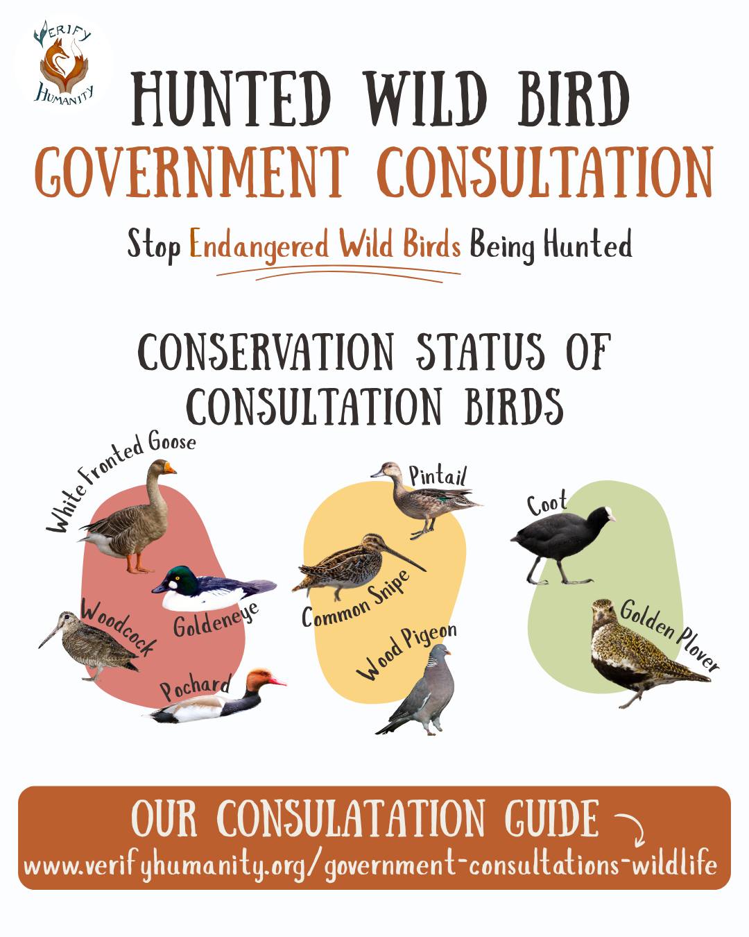 🦆 🦆 Should hunting of endangered birds be allowed in the UK? 🦆 🦆
A UK Government consultation proposes that we continue hunting 4 native birds on the Red List and 2 native birds on the Amber List of conservation concern. Worse still, they want to add another amber-listed bird to the hunting list. Feeling outraged? Help us reshape outdated practices and fill in the Government Consultation using our Guidance. Say no to the hunting of endangered birds.
https://www.verifyhumanity.org/government-consultations-wildlife
While the Government are proposing to extend the close season of some of the birds in Schedule 2.1 of the Wildlife and Countryside Act 1981, this means nothing in terms of the total number of birds killed. Fewer hunting days do not reduce the number of people hunting, or the number of hours that they hunt, and importantly, the number of birds they kill. They are still allowing the killing of endangered species...for entertainment.
It gets worse. While the Government are covering 9 of the 25 birds that are allowed to be hunted under Schedule 2.1, there are another 4 birds on the Red List and 8 birds on the Amber List that aren't covered by the consultation. As Natural England is cited as one of the 18 collaborators for the Birds of Conservation Lists, this means they are ignoring their own research.
Do something amazing today. Fill in this Government Consultation using our Guidance.
https://www.verifyhumanity.org/government-consultations-wildlife
#endangeredspecies #banhunting #rspb #birdlife #ukwildbirds
Sources:
British Trust of Ornithology - Birds of Conservation Concern 5 https://www.bto.org/sites/default/files/publications/bocc-5-a5-4pp-single-pages.pdf
Wildlife and Countryside Act 1981 - https://www.legislation.gov.uk/ukpga/1981/69