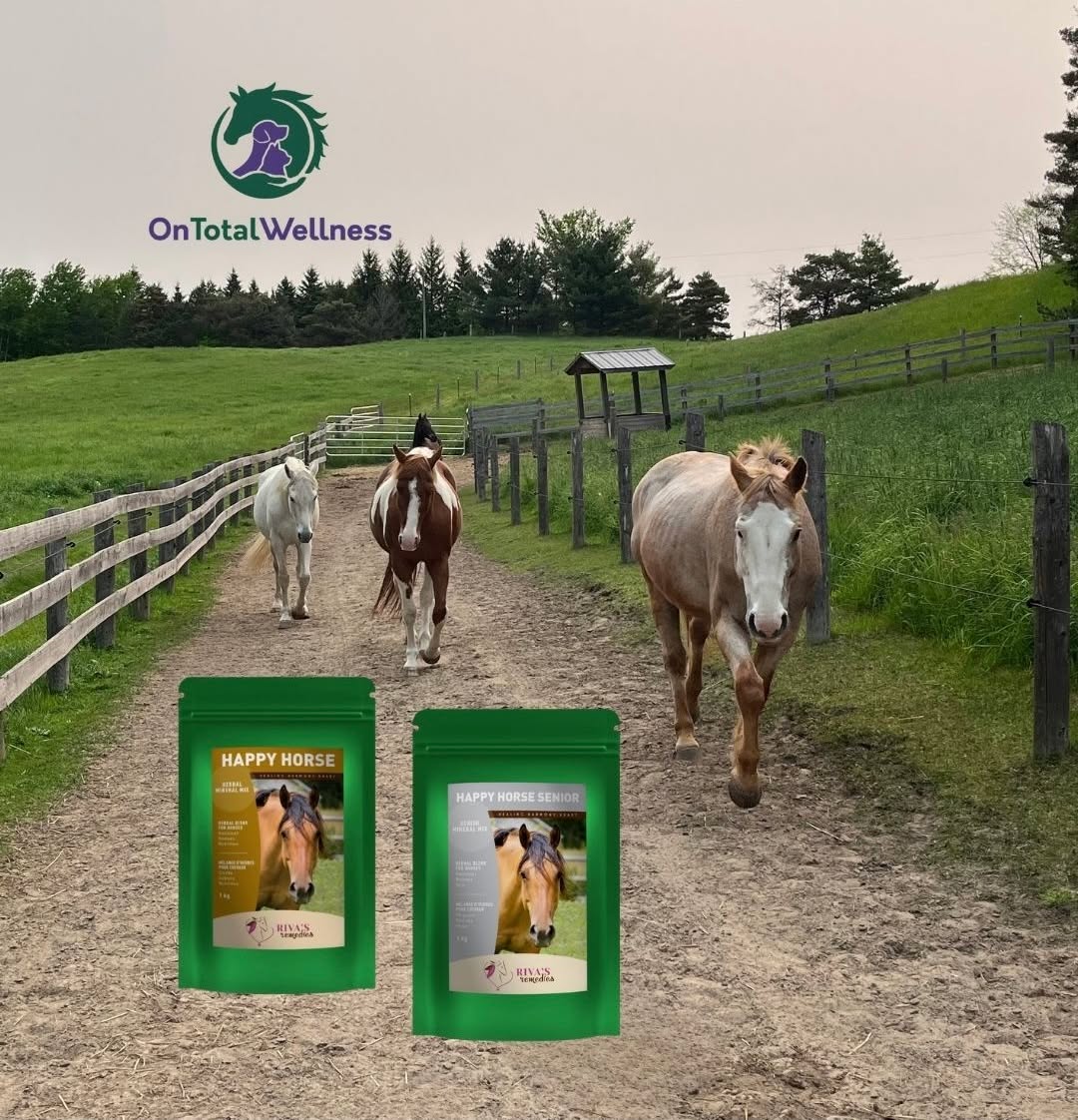 Herbal mineral support for horses of all ages. Promoting strong hooves, shiny coats, and immune health
Available at OnTotalWellness.com
Tottenham Pickup | Canada wide shipping
#rivasremedies #horsewellness #horsehealth #equinesupplements #happyhorse