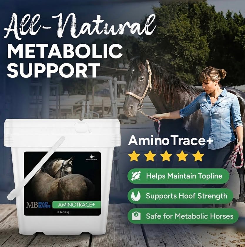 Stronger hooves, better balance, better health. AminoTrace+ delivers complete vitamin and mineral support in a simple daily pellet
Available at OnTotalWellness.com
Tottenham Pickup | Canada wide shipping
#madbarn #equinesupplements #equinehealth #horsewellness #wellness. .