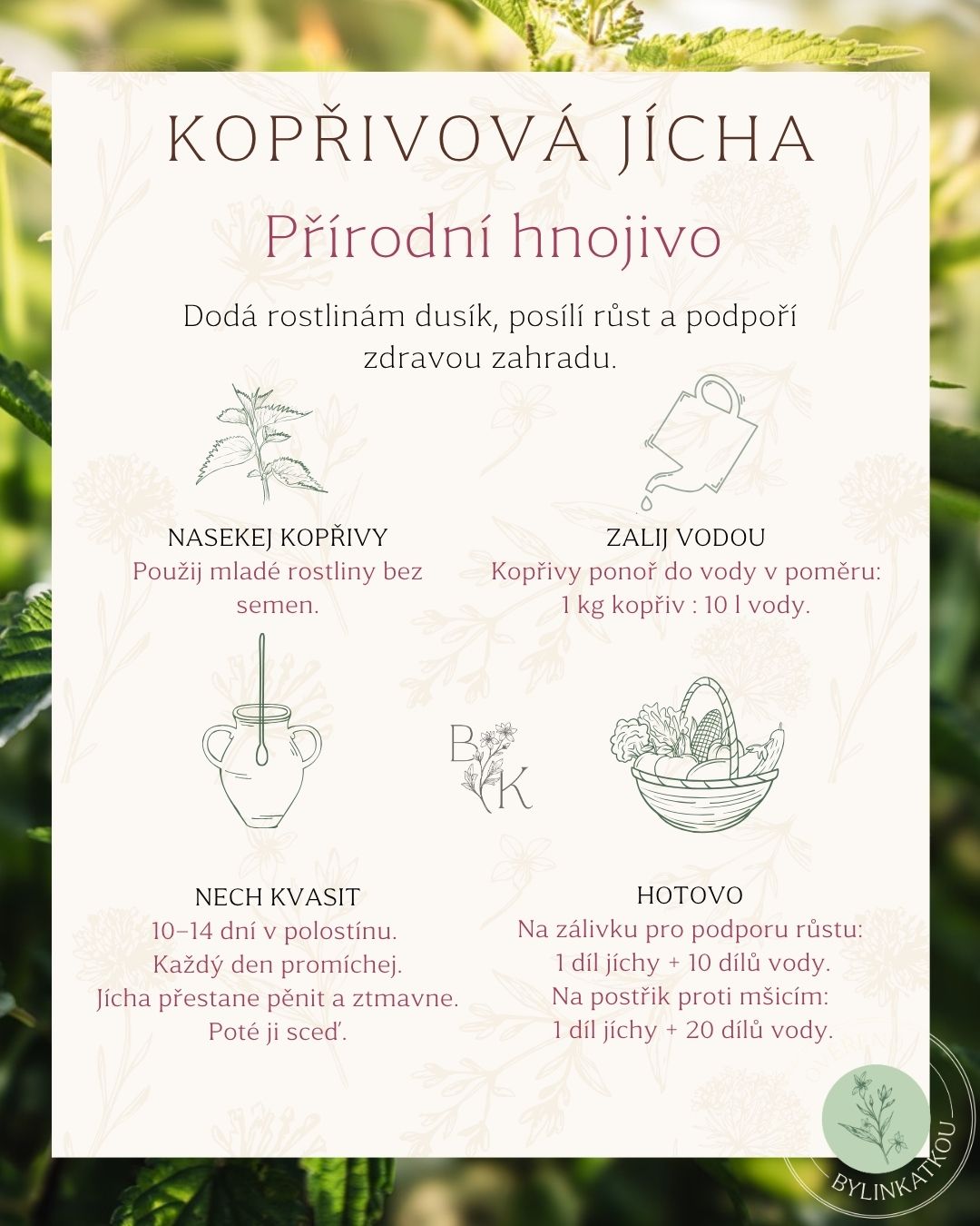 Když jsem přemýšlela, jaký návod by vám v květnu mohl nejvíc pomoct v péči o zahradu, volba byla jasná – kopřivová jícha. 🌿
Jeden z nejjednodušších a nejúčinnějších pomocníků pro přírodní zahradu.
Podporuje růst, dodá rostlinám dusík a pomáhá jim získat sílu během celé sezóny.
Joo já vím, její vůně není zrovna nejlákavější, ale nenechte se tím odradit. Vaše zahrada ji bude milovat.
Skvěle funguje hlavně pro: rajčata, okurky, cukety, papriky, dýně a listovou zeleninu. Naopak není vhodná pro: cibuli, česnek, hrách, fazole -tyto rostliny by příliš mnoho dusíku nemusely dobře snášet.
Tak už víte jaký bude váš plán na víkend?🌱
#koprivovajicha #kopriva #prirodnihnojivo #zahrada #bylinky #bylinkatka