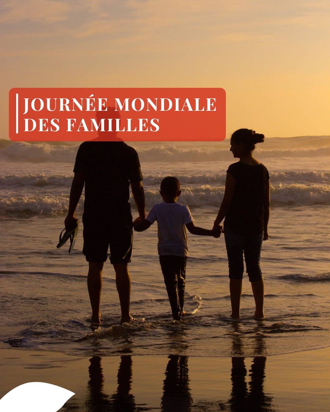 👨👩👧👦✨ Ce vendredi 15 mai, nous célébrons la Journée Mondiale des Familles ✨👨👩👧👦
Chez Fontana Tourisme, nous savons que les plus beaux voyages sont souvent ceux que l’on partage en famille ❤️✈️
Un séjour au soleil, un city break, un road trip ou de simples vacances tous ensemble… chaque destination devient encore plus belle lorsqu’elle est vécue avec ceux qu’on aime 🌍
Voyager en famille, c’est créer des souvenirs uniques, partager des moments précieux et vivre des expériences qui resteront gravées pour longtemps ✨
Et si votre prochain plus beau souvenir commençait par un voyage ? ☀️
#JournéeMondialeDesFamilles #VoyageEnFamille #Famille #TravelFamily #FontanaTourisme #VacancesEnFamille
