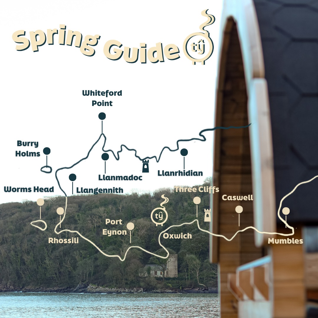 Planning a trip to Gower as it grows a little warmer? Here a few of our favourite recommendations for your perfect Gower stay!
As a place of outstanding natural beauty, Gower has many stunning outside spaces to enjoy. With coastal walks, fresh sea swims and glorious views. Not to mention a lovely barrel beach sauna 🥰
We’ve listed the best places to find food, stretch your legs and rest your head.
Things to do : 📸
🌊Winter Dotto and Matt Green
🥾@livefree_adventures
🌊@numinousoutdoors
🥾Perriswood Archery and Falconry Centre
Places to Eat : 🍔
🥐 @missys_bakehouse
☕️ @coffee.koub
🥙 @muswanna_swansea
🥗 @boosmumbles
Places to Stay : 🏠
🏠@parkmill_gower_cottages - A great location for people looking to enjoy the city of Swansea or the nature of the Gower. Right next to Shepherd’s Cafe that sells amazing bakes, and close to beautiful walks including Ilston Woods and Three Cliffs Bay.
☁️ Secret Garden Pods @oxwichbayhotel - New luxury glamping pods located on site at The Oxwich Bay Hotel. Great access to the coastal path, with options to dine either at the hotel itself or The Beach House. Plus, just a stone’s throw from Ty Sawna!
🏠 Shepherd’s Hut in Reynoldston - Perfect for a romantic getaway. A handmade Shepherd’s Hut situated in Reynoldston equipped with a hot tub, hammock and an outdoor fire pit. Close to plenty of country walks and Gower beaches.
Save this for your next trip ✨
See you soon 🧖♀️🧖
#whattodoinGower #calmspace #rejuvenate #outdoortherapy #wholebodyhealth #restandrecovery #natureistherapy #naturalhighs #insomnia #tysawna #saunahouse #beachsauna #sauna #oxwichbay #oxwichbeach #Swansea #gowerpeninsula #gower