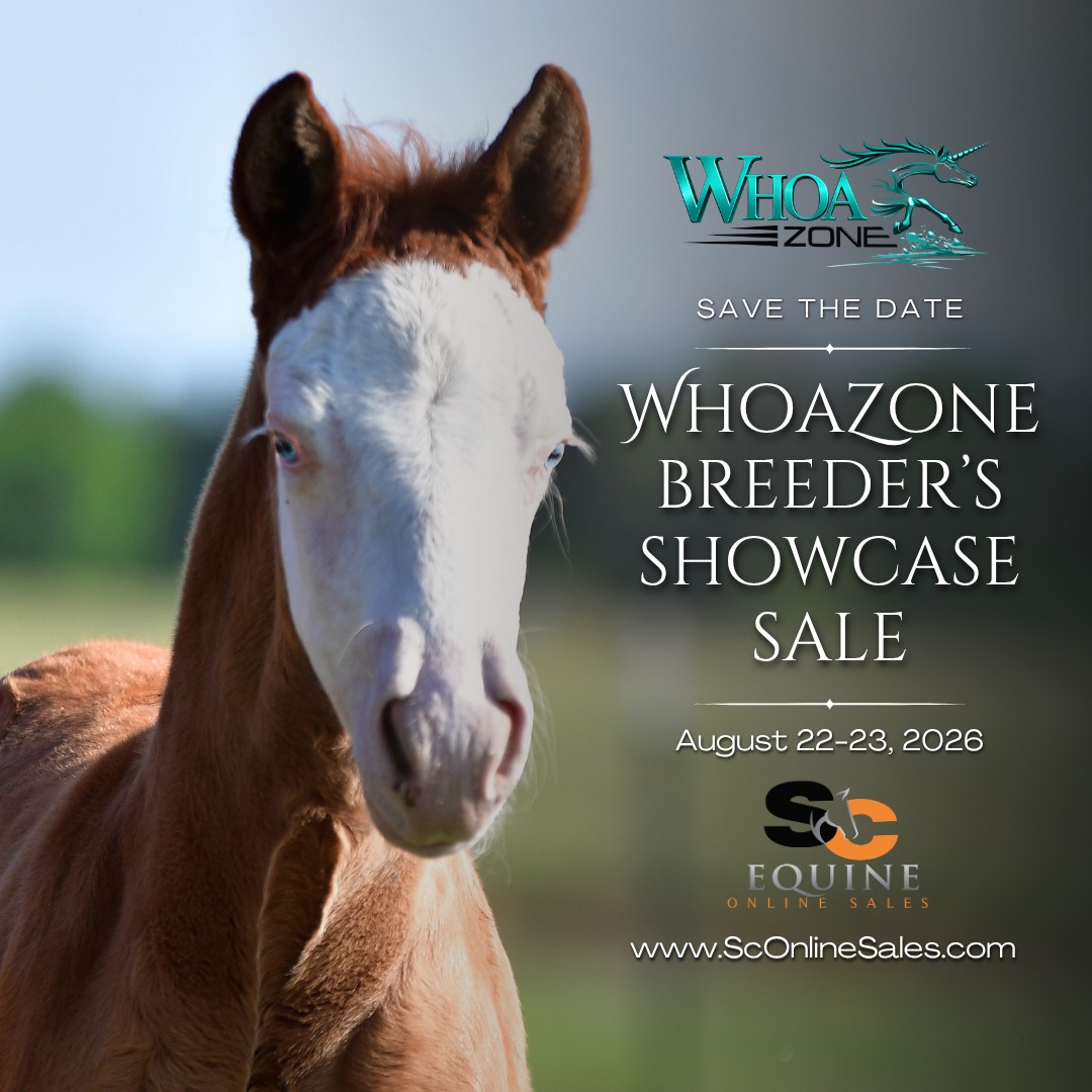 ๐จ ๐๐๐๐ ๐๐๐ ๐๐๐๐ ๐จ
The 2026 WhoaZone Breederโs Showcase is set for August 22-23, 2026 in partnership with Sc Online Sales
Our mission with this sale is simple. We want to help small boutique breeders showcase their programs to the world through a professional digital marketplace designed specifically for the horse industry.
Whether you are selling one standout prospect or representing a growing breeding program, we want to help you present your horses professionally and competitively to todayโs online buyer.
โจ ๐๐๐ฅ๐ ๐๐ข๐ ๐ก๐ฅ๐ข๐ ๐ก๐ญ๐ฌ ๐๐ง๐๐ฅ๐ฎ๐๐:
โข Professional online auction platform
โข Buyer watch lists and text message bidding updates
โข Full accounting and payment processing team
โข Professional marketing support
โข Social media promotion across all platforms
โข Industry media outlet exposure
โข Assistance connecting consignors with professional equine photographers if needed
๐ ๐๐จ๐ง๐ฌ๐ข๐ ๐ง๐ฆ๐๐ง๐ญ ๐๐๐ช๐ฎ๐ข๐ซ๐๐ฆ๐๐ง๐ญ๐ฌ:
โข Vet exam and statement required within 10 days of sale day
โข Consignment fee: $150
โข Includes custom social graphics for promotion
โข $75 non-refundable deposit required to reserve your slot
โฐ ๐๐๐๐๐๐๐๐๐ ๐๐๐๐๐๐๐๐๐:
โข Consignment deadline: July 15, 2026
โข Limited slots available
Early consignments allow for maximum lead-up promotion and increased buyer exposure for your horses. If you are serious about presenting your program professionally to the digital market, this is your opportunity.
๐๐๐ฅ๐ฅ ๐จ๐ซ ๐๐๐ฑ๐ญ: ๐๐๐.๐๐๐.๐๐๐๐ ๐๐จ๐ซ ๐๐จ๐ง๐ฌ๐ข๐ ๐ง๐ฆ๐๐ง๐ญ ๐
๐จ๐ซ๐ฆ๐ฌ
#horse #horses #horselove #reining #aqha #apha