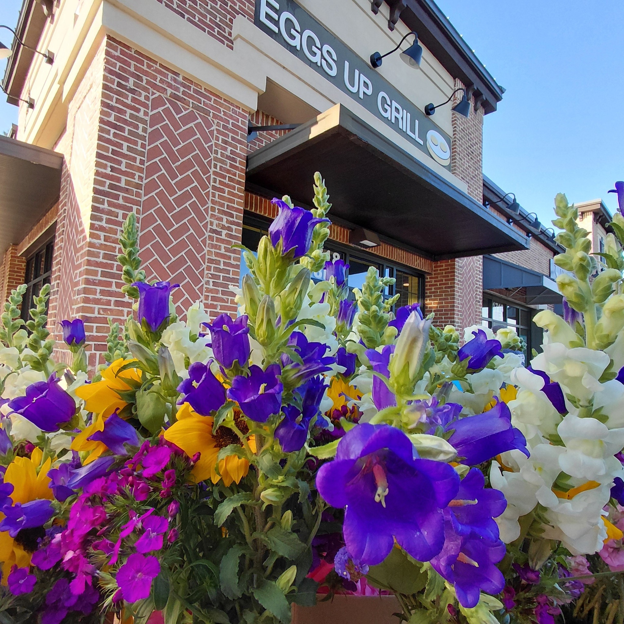 SUNDAY May 3rd
The rain made way for a BEAUTIFUL morning! Come by Eggs Up Grill in Cane Bay to grab a bite and a bouquet.
We look forward to seeing you!
@followers
@eug_charleston